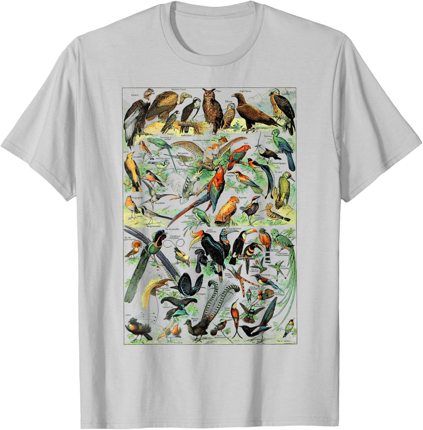 Bird Nature Birding Watcher Ornithology chart Types of birds T-Shirt - T-Shirt | Ash