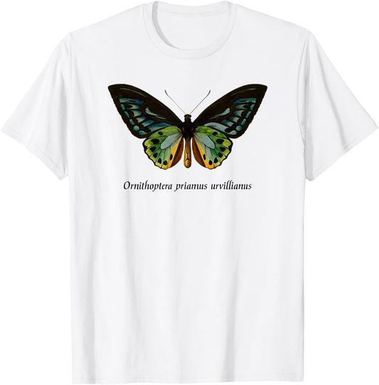 Bird Wing Butterfly Insect Entomology Moth T-Shirt - T-Shirt | White