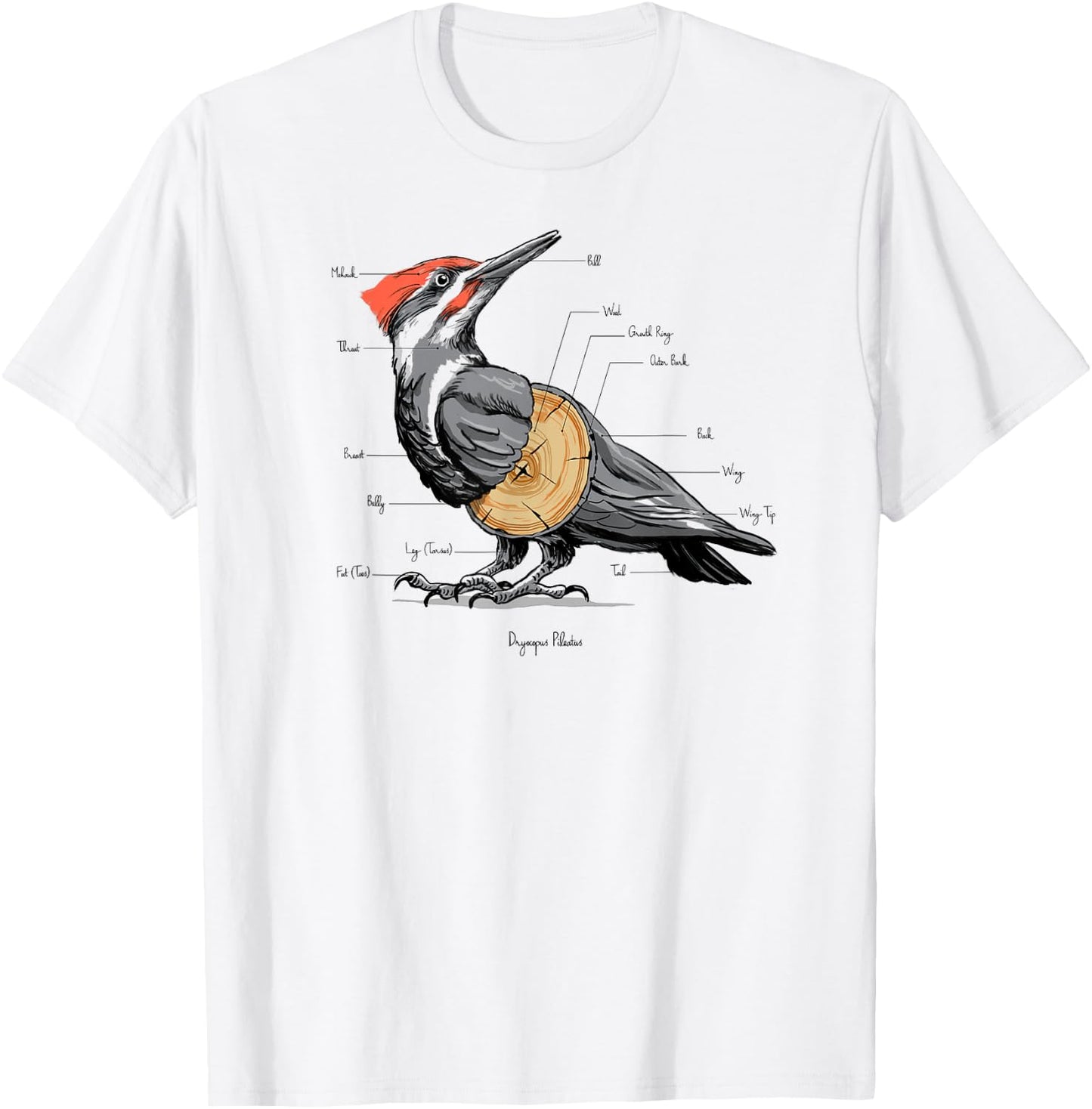 Woodpecker anatomy T-Shirt - T-Shirt | White