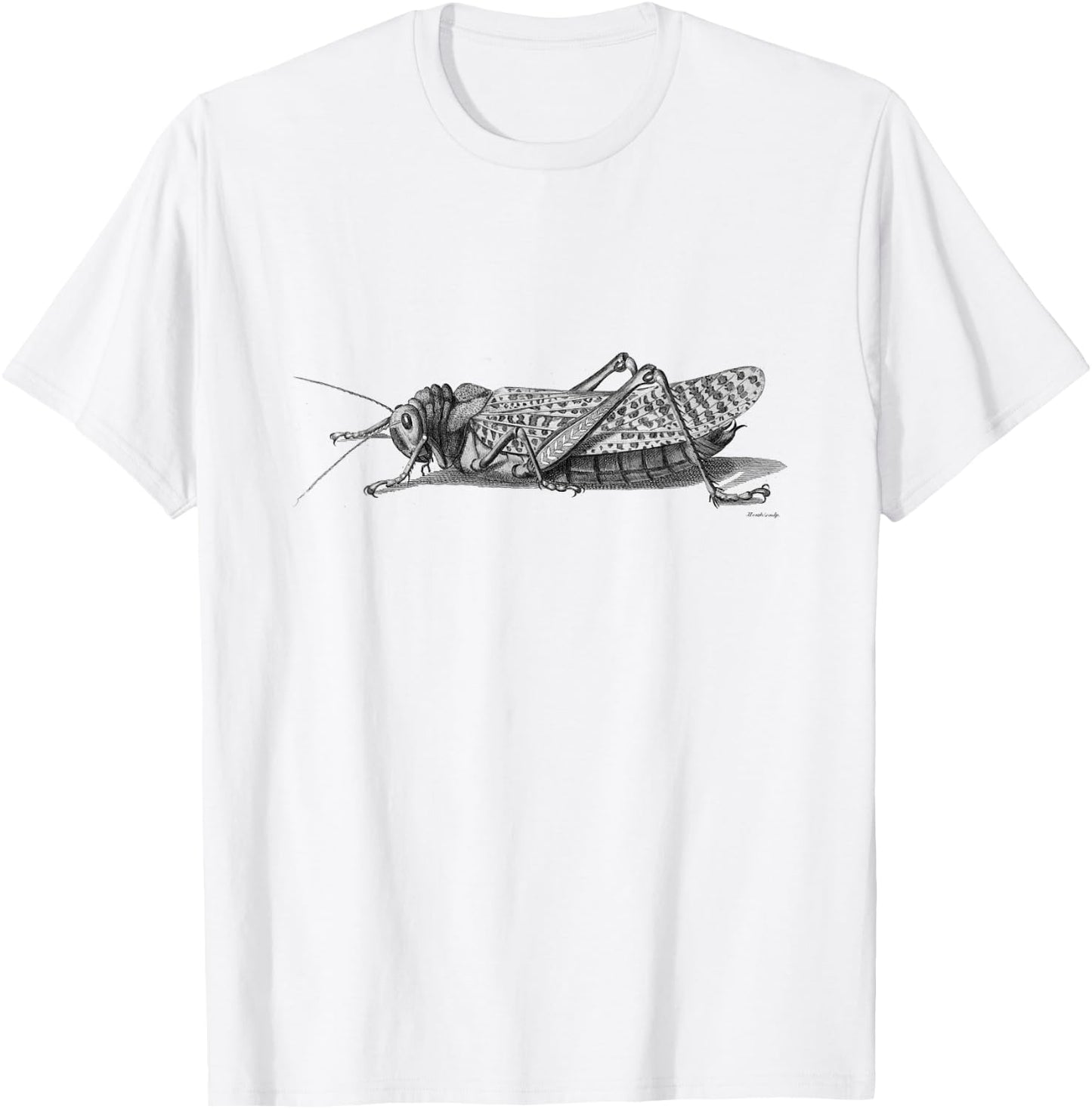 Cricket . Vintage Cricket Insect T-Shirt - T-Shirt | White
