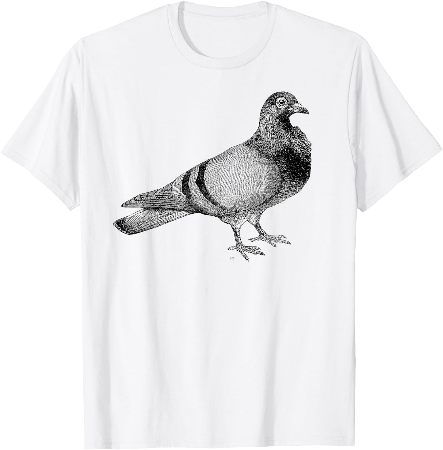 Big Texas Vintage Pigeon Illustration T-Shirt - T-Shirt | White
