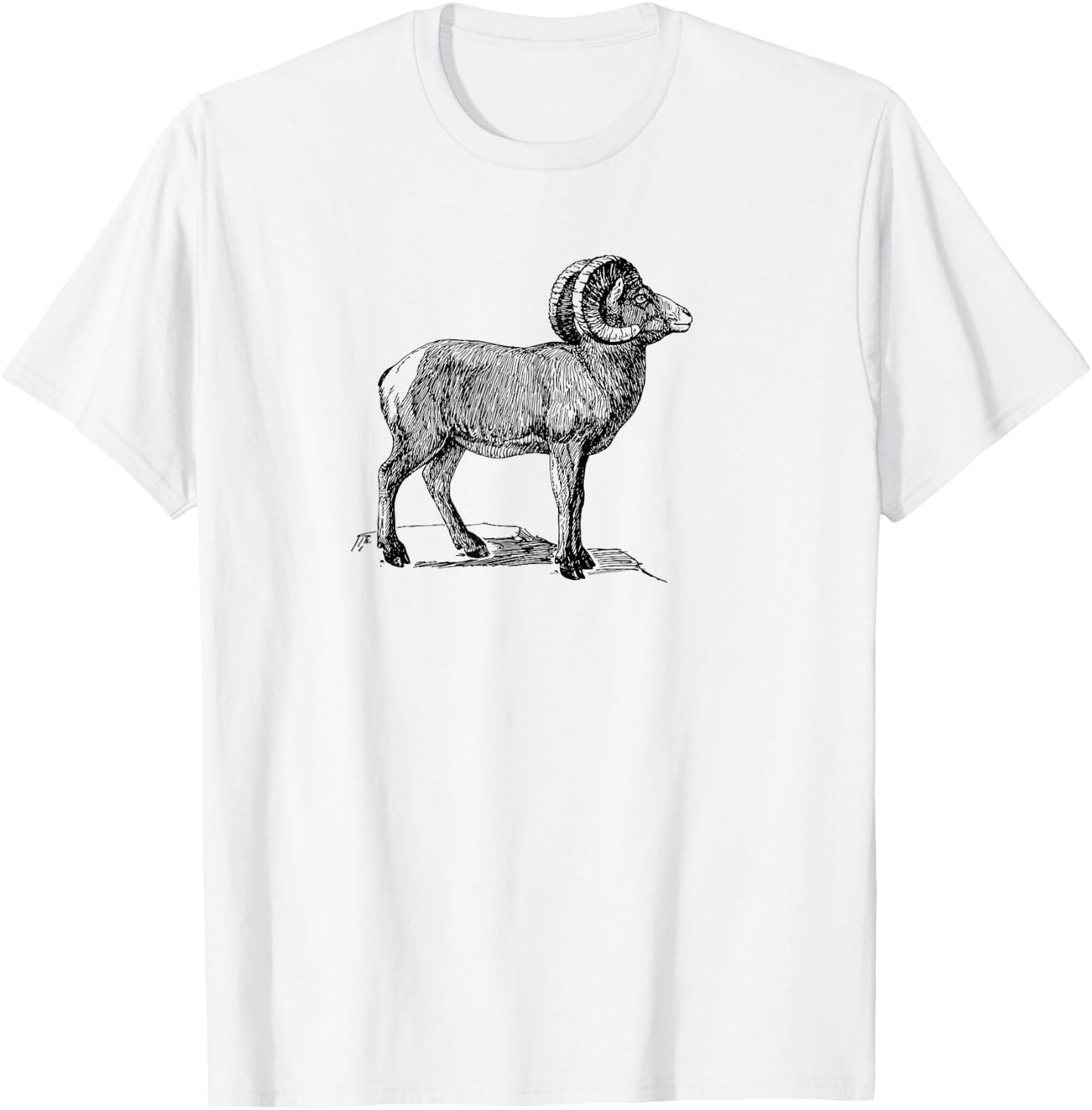 Simple Ram Mountain Goat Animal Design T-Shirt - T-Shirt | White
