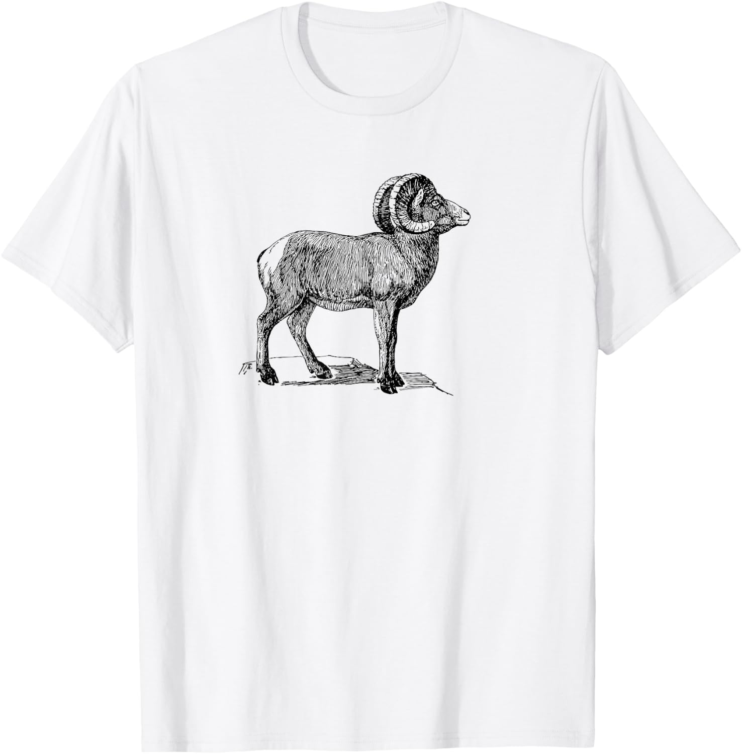 Simple Ram Mountain Goat Animal Design T-Shirt - T-Shirt | White