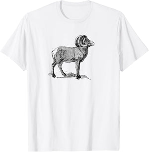 Simple Ram Mountain Goat Animal Design T-Shirt - T-Shirt | White