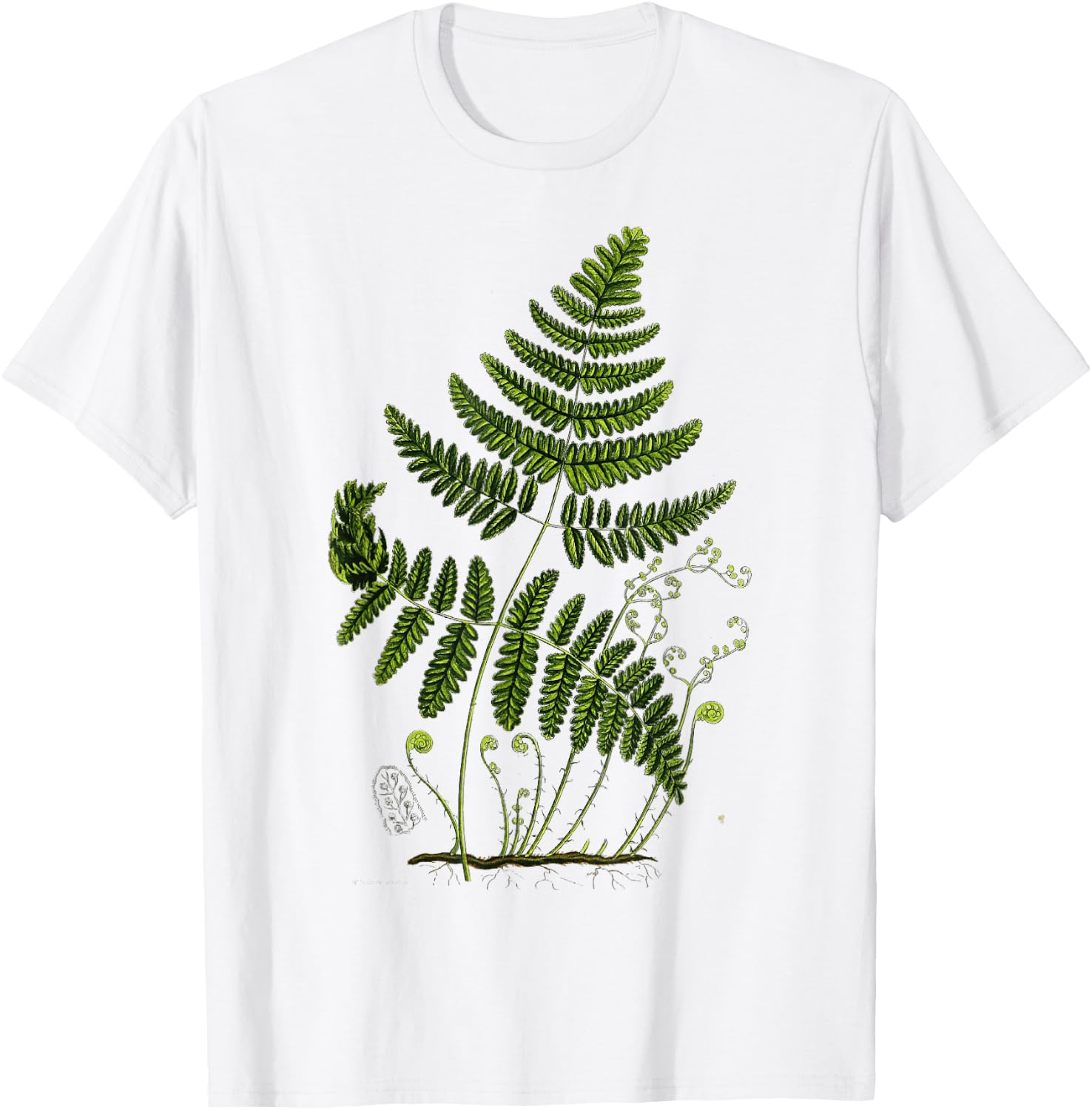 Fern Plant Botany T-Shirt - T-Shirt | White