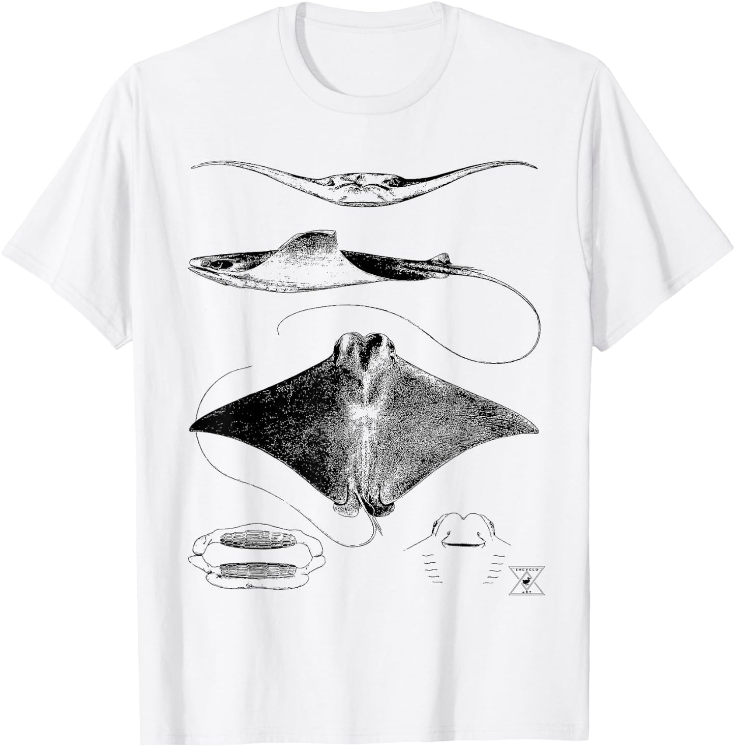 Stingray Anatomy | Sharks Rays Oceanography Sea Life T-Shirt - T-Shirt | White
