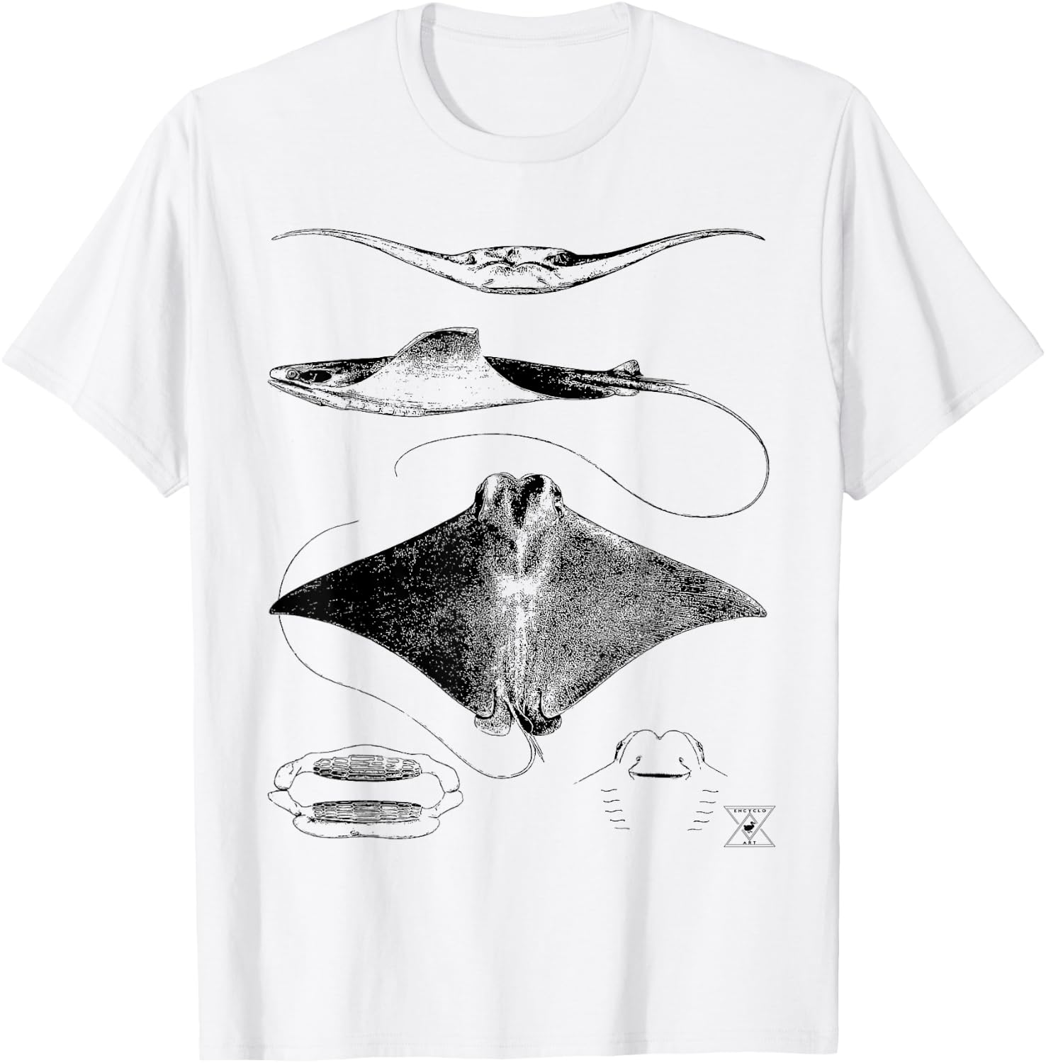 Stingray Anatomy | Sharks Rays Oceanography Sea Life T-Shirt - T-Shirt | White