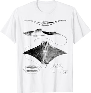 Stingray Anatomy | Sharks Rays Oceanography Sea Life T-Shirt - T-Shirt | White