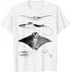Stingray Anatomy | Sharks Rays Oceanography Sea Life T-Shirt - T-Shirt | White