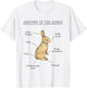 Anatomy Of The Bunny Cute Animal Love Rabbit Easter Funny T-Shirt - T-Shirt | White