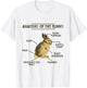 Anatomy Of The Bunny Rabbit Easter Lover Shirt T-Shirt - T-Shirt | White