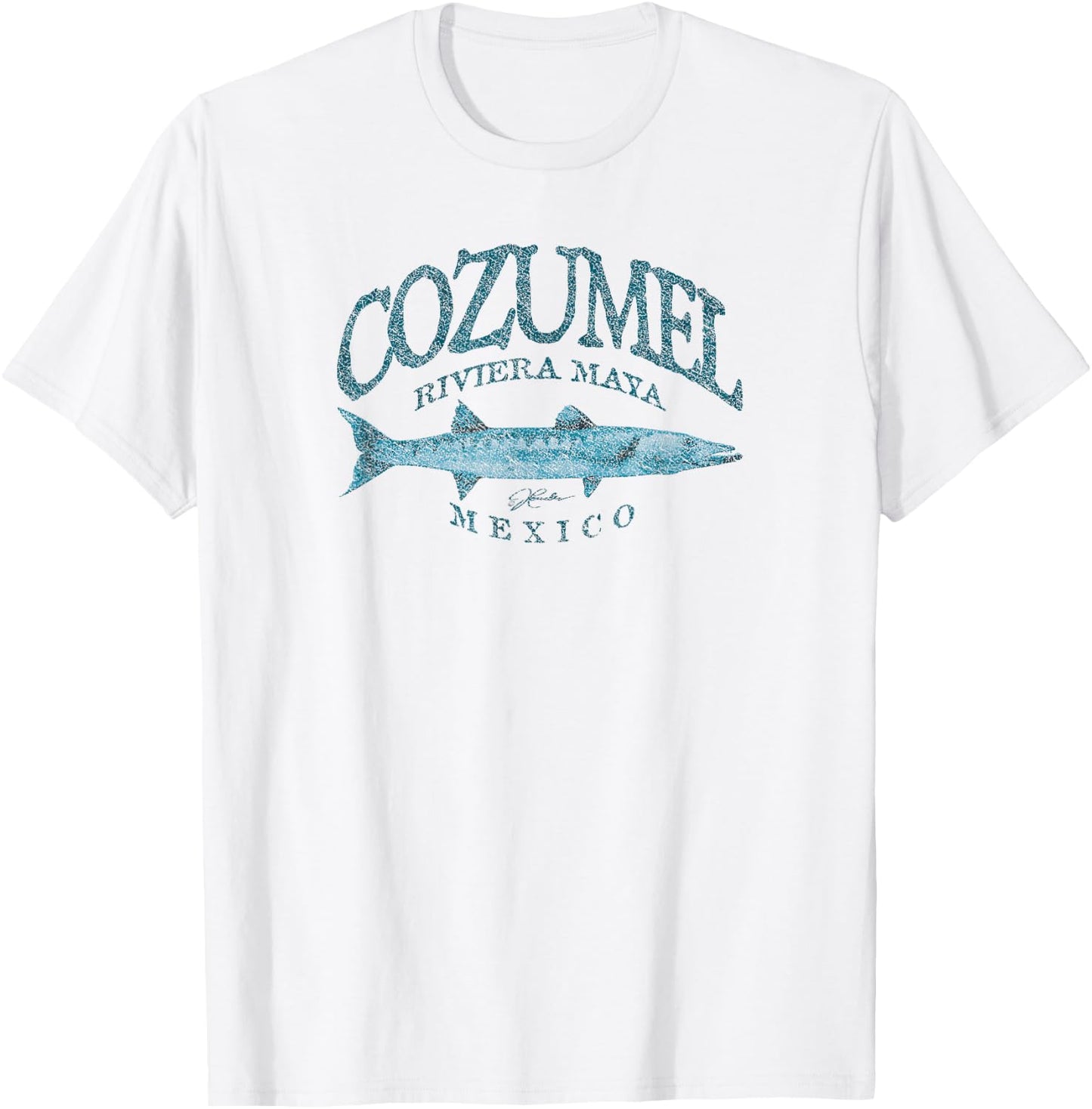 JCombs: Cozumel, Mexico, Great Barracuda T-Shirt - T-Shirt | White