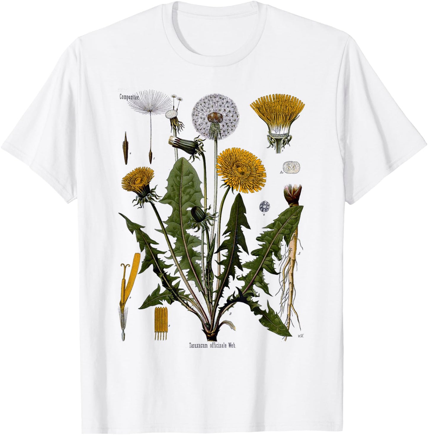 Dandelion Botanical T- Shirt Dandelion Root Vegetarian T-Shirt - T-Shirt | White