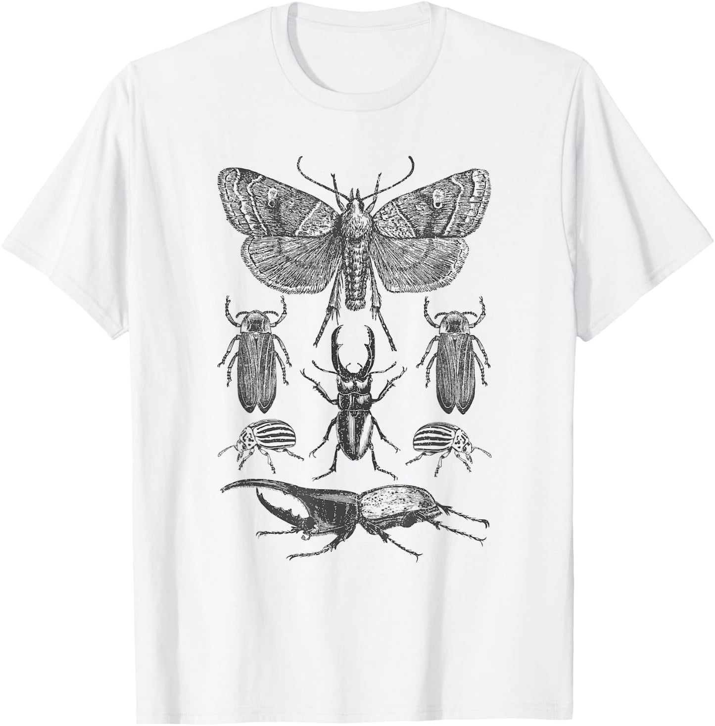 Insect Bug Collection - Moth, Stag Beetle, Cicada T-Shirt - T-Shirt | White