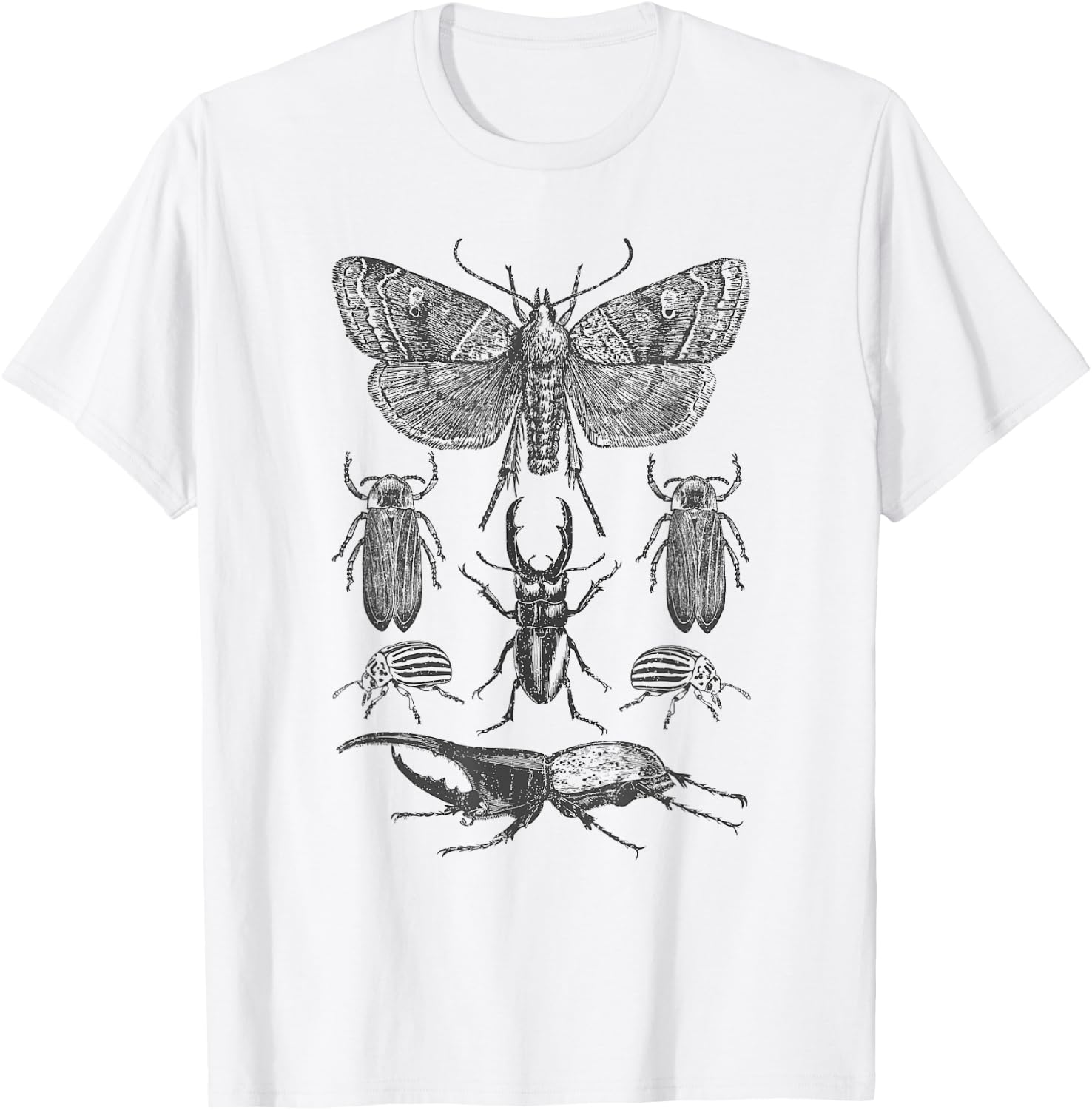 Insect Bug Collection - Moth, Stag Beetle, Cicada T-Shirt - T-Shirt | White