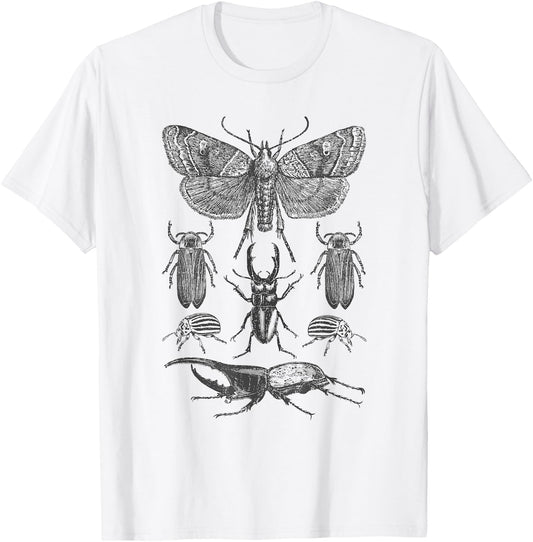 Insect Bug Collection - Moth, Stag Beetle, Cicada T-Shirt - T-Shirt | White