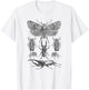 Insect Bug Collection - Moth, Stag Beetle, Cicada T-Shirt - T-Shirt | White