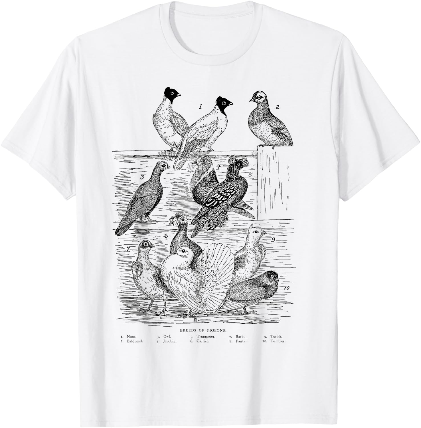 Vintage Breeds of Pigeons Gift Pigeon Lovers T-Shirt - T-Shirt | White