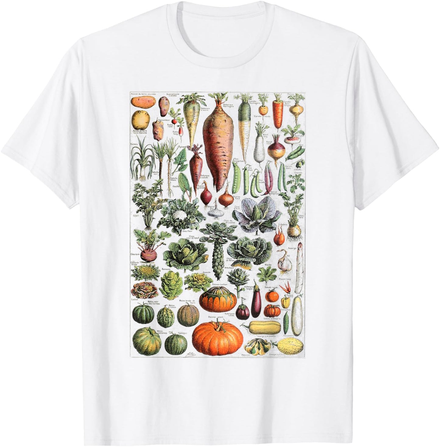 Kitchen Vegetable Identification Reference Table T-Shirt - T-Shirt | White
