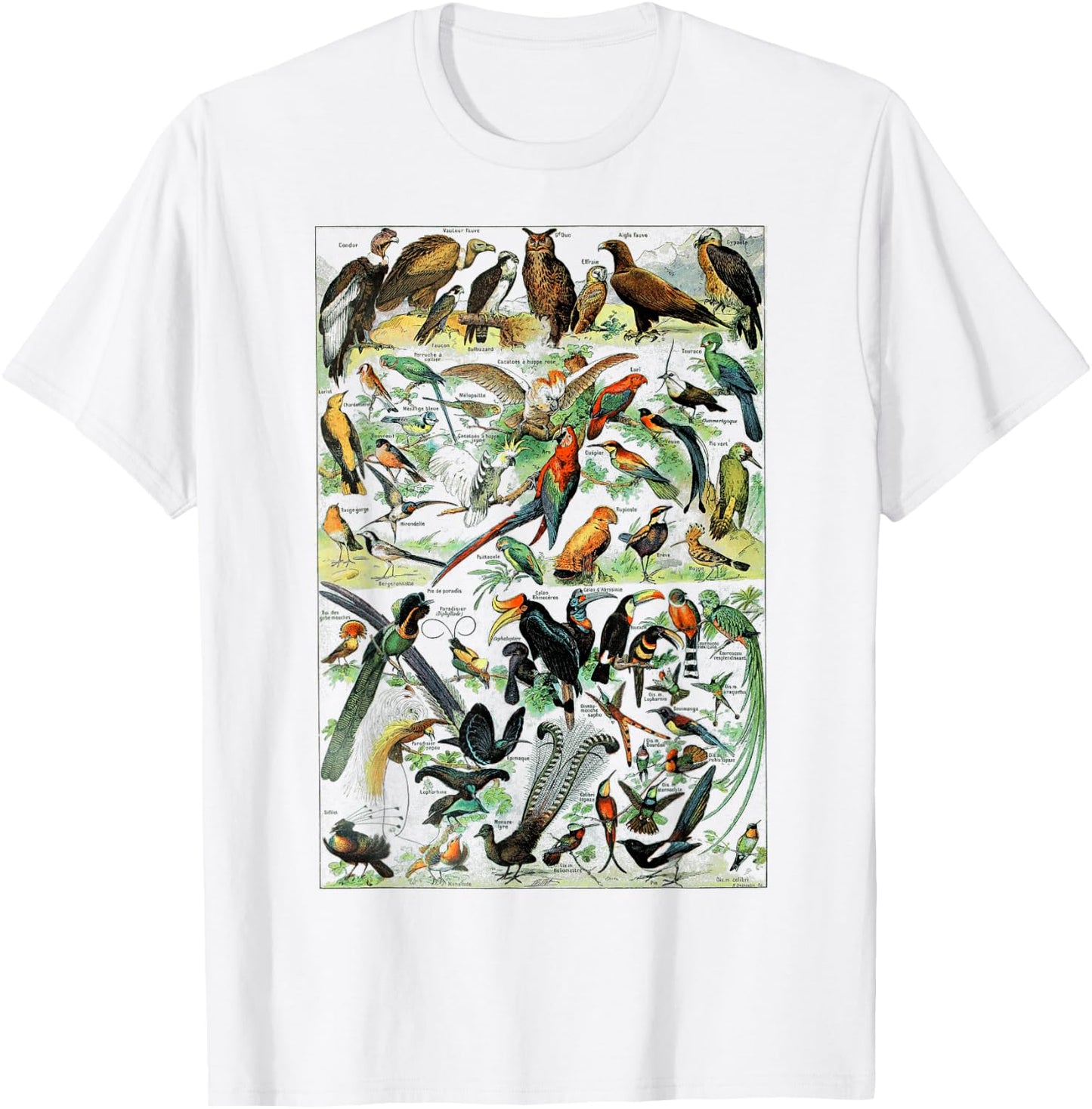 Bird Nature Birding Watcher Ornithology chart Types of birds T-Shirt - T-Shirt | White