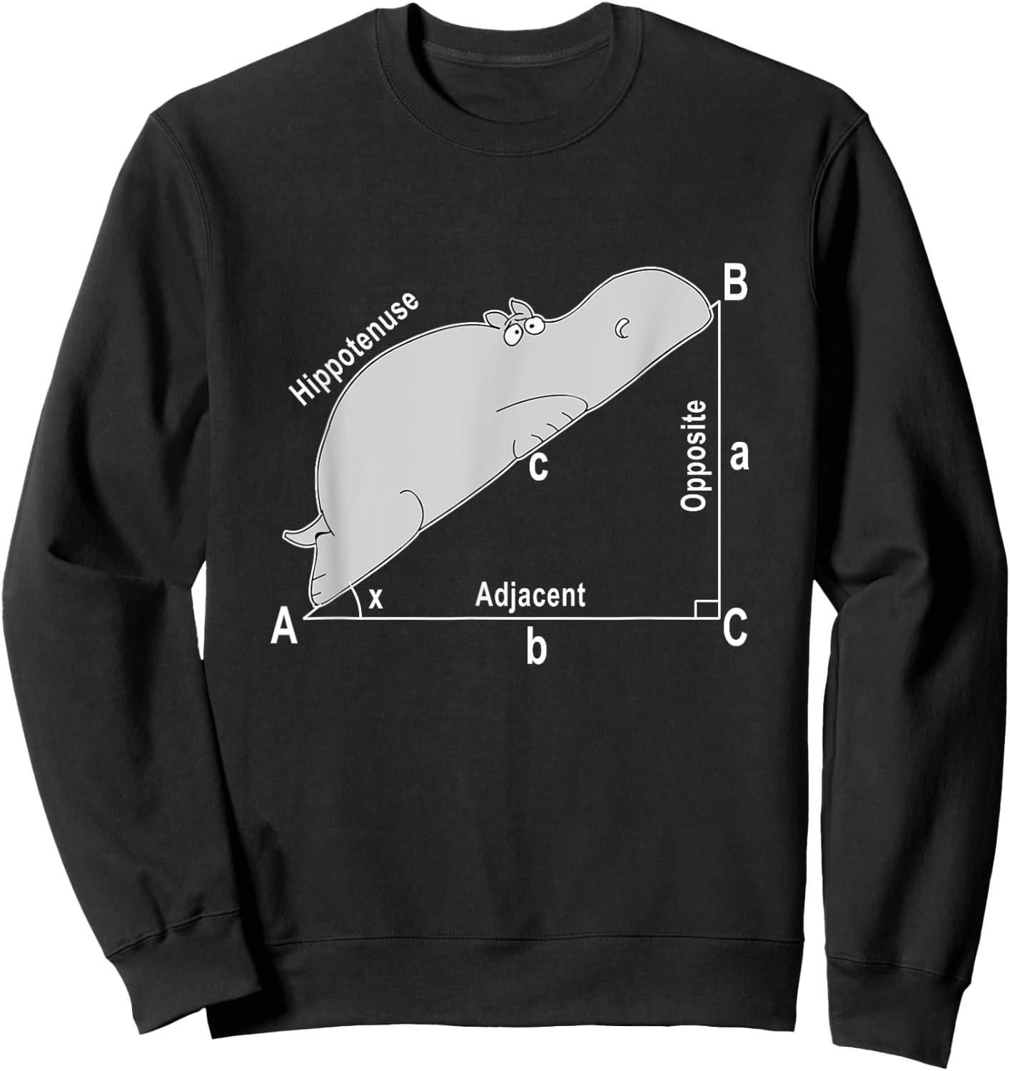 Hippo Math Analytical Funny Sarcasm Humor Teacher Men Women Girls Kids Sweatshirt - Sweatshirt | Black
