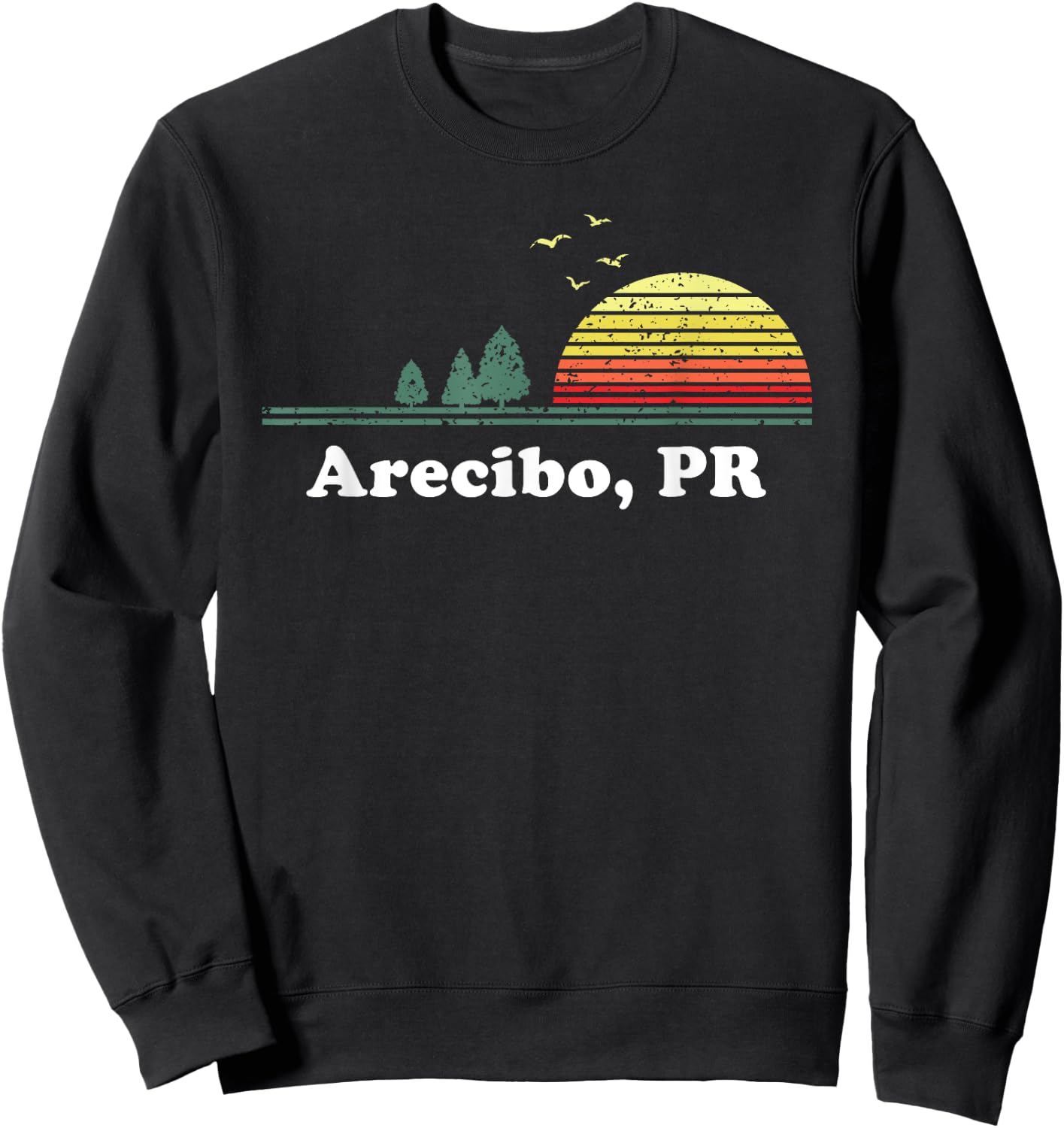 Vintage Arecibo, Puerto Rico Home Design Souvenir Print Sweatshirt - Sweatshirt | Black