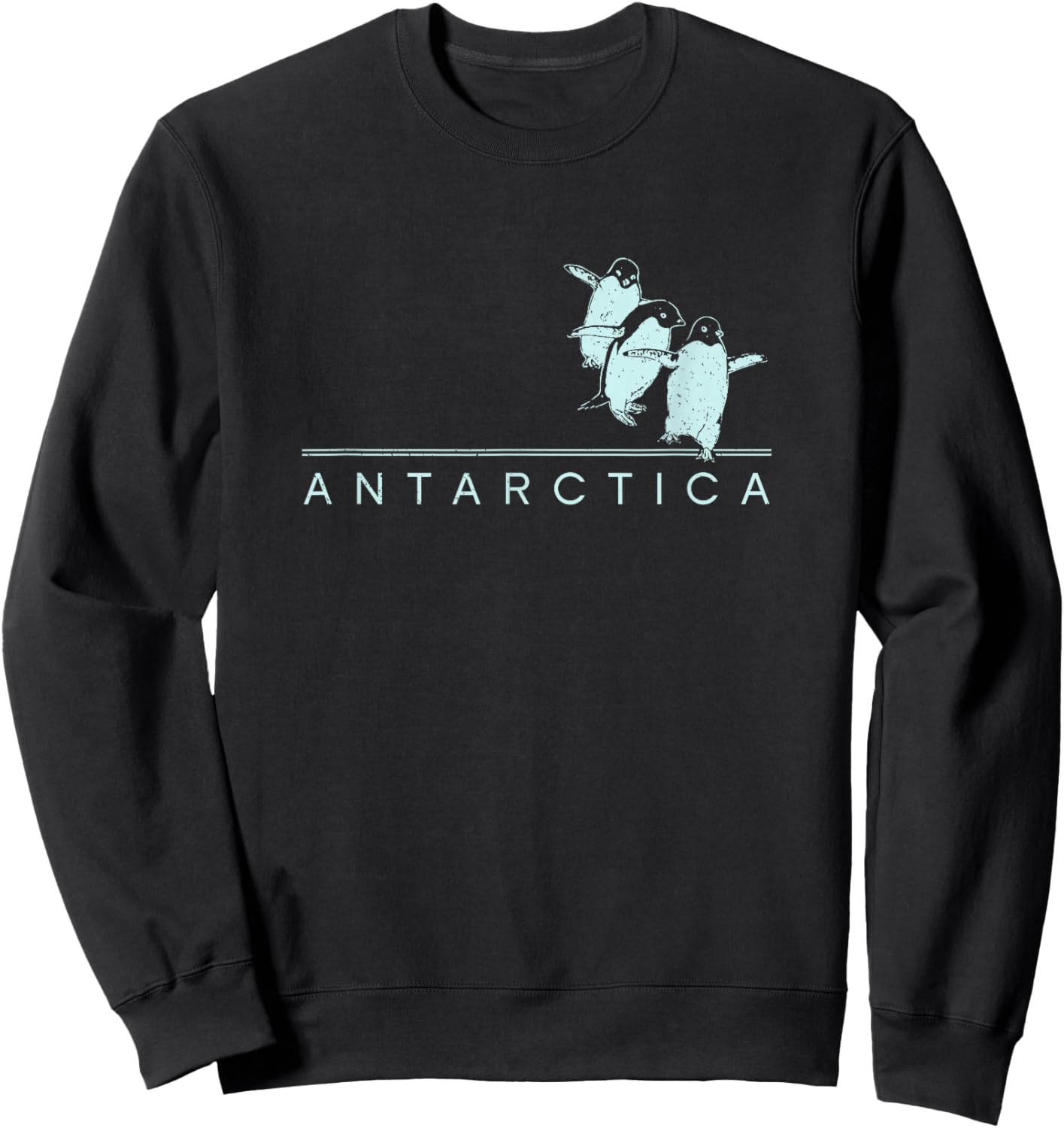Antarctica Penguins Graphic Souvenirs Sweatshirt - Sweatshirt | Black
