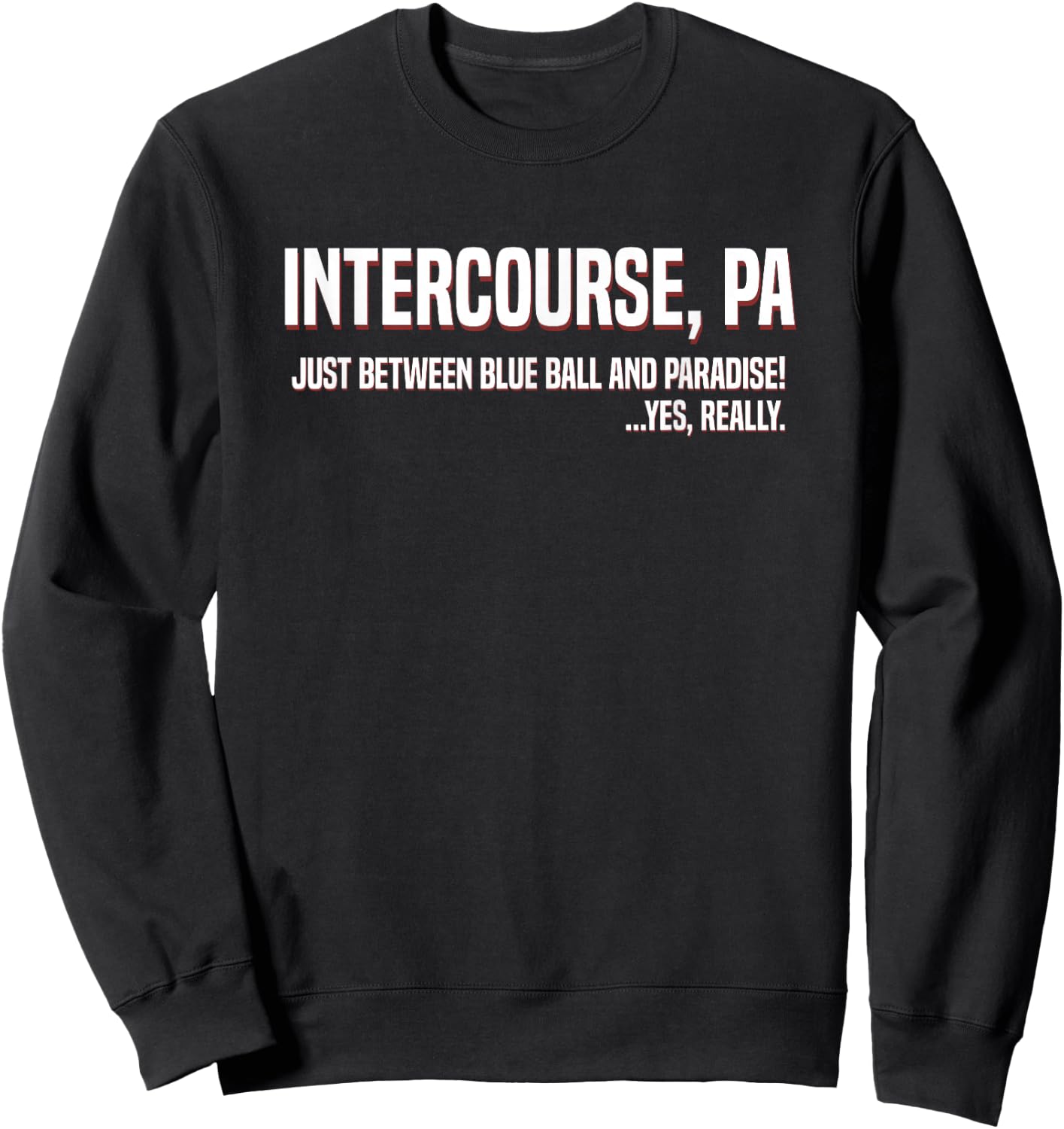 Funny Intercourse PA Between Blue Ball and Paradise Sweatshirt - Sweatshirt | Black