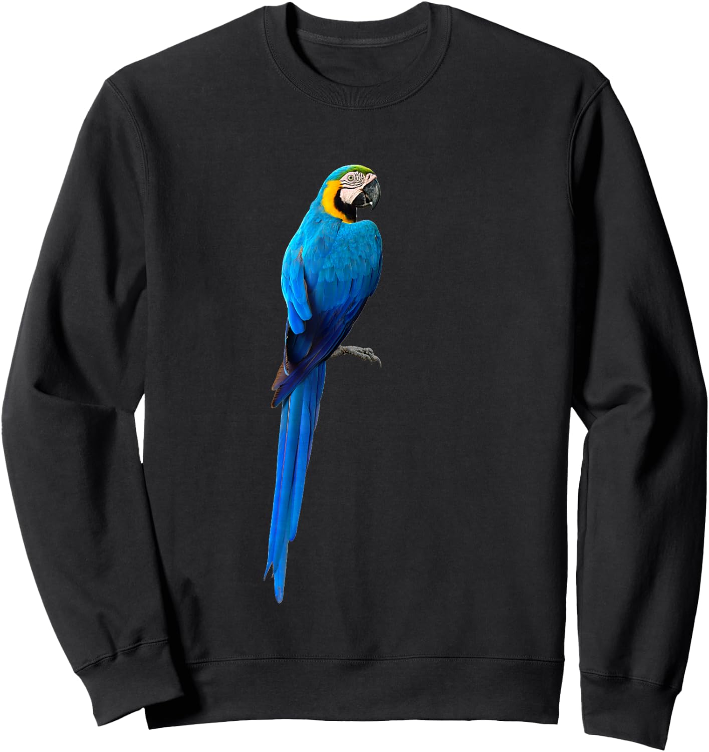 Blue Macaw Parrot Life Sweatshirt - Sweatshirt | Black
