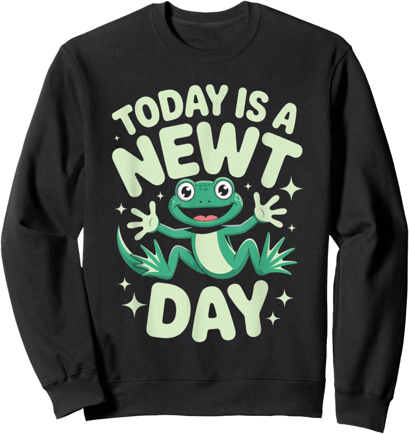 Today is A Newt Day Funny Cute Cartoon Amphibian Herpetology Sweatshirt - Sweatshirt | Black