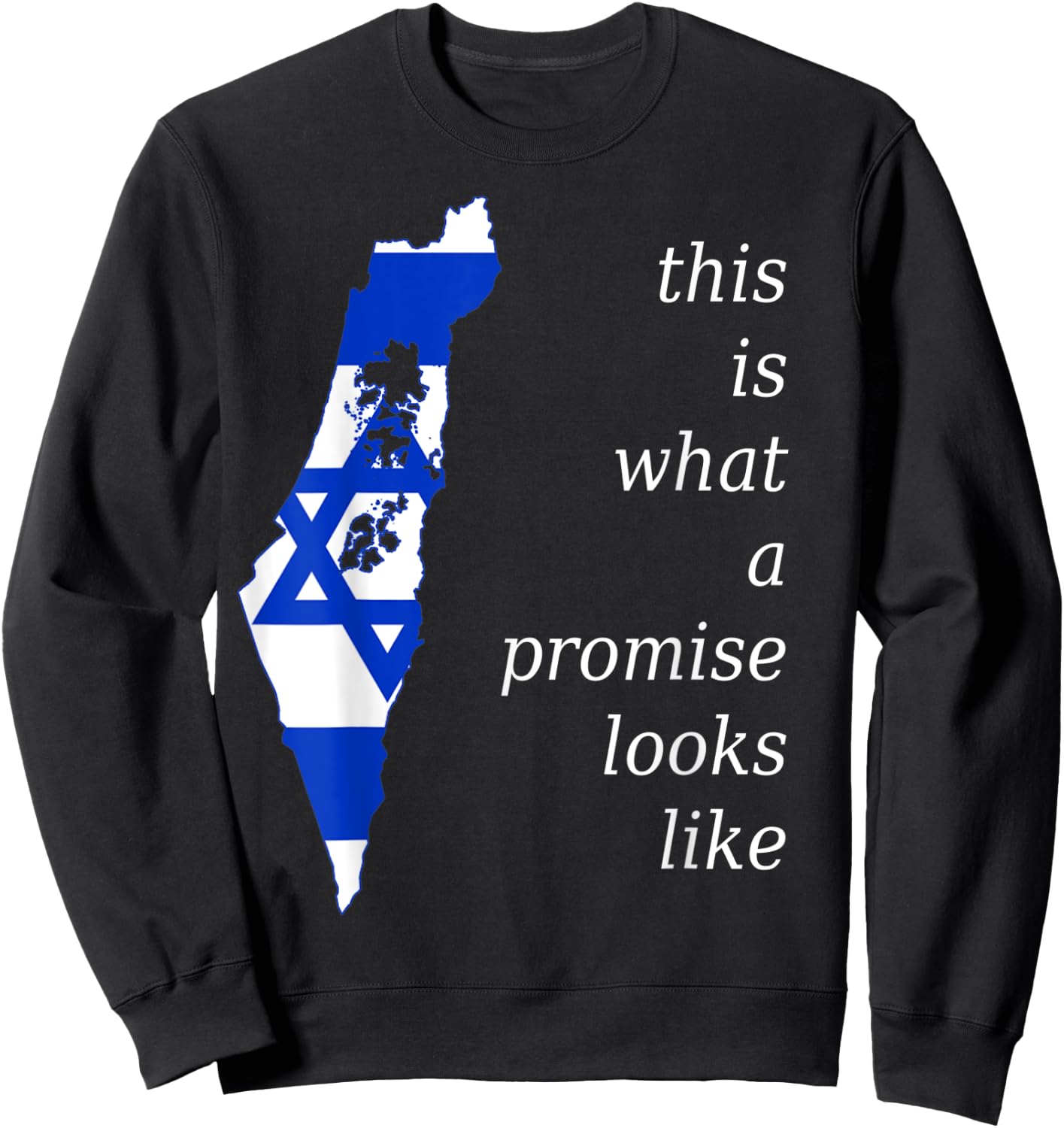 This is What a Promise Looks Like israel Jew Hebrew Jewish Sweatshirt - Sweatshirt | Black