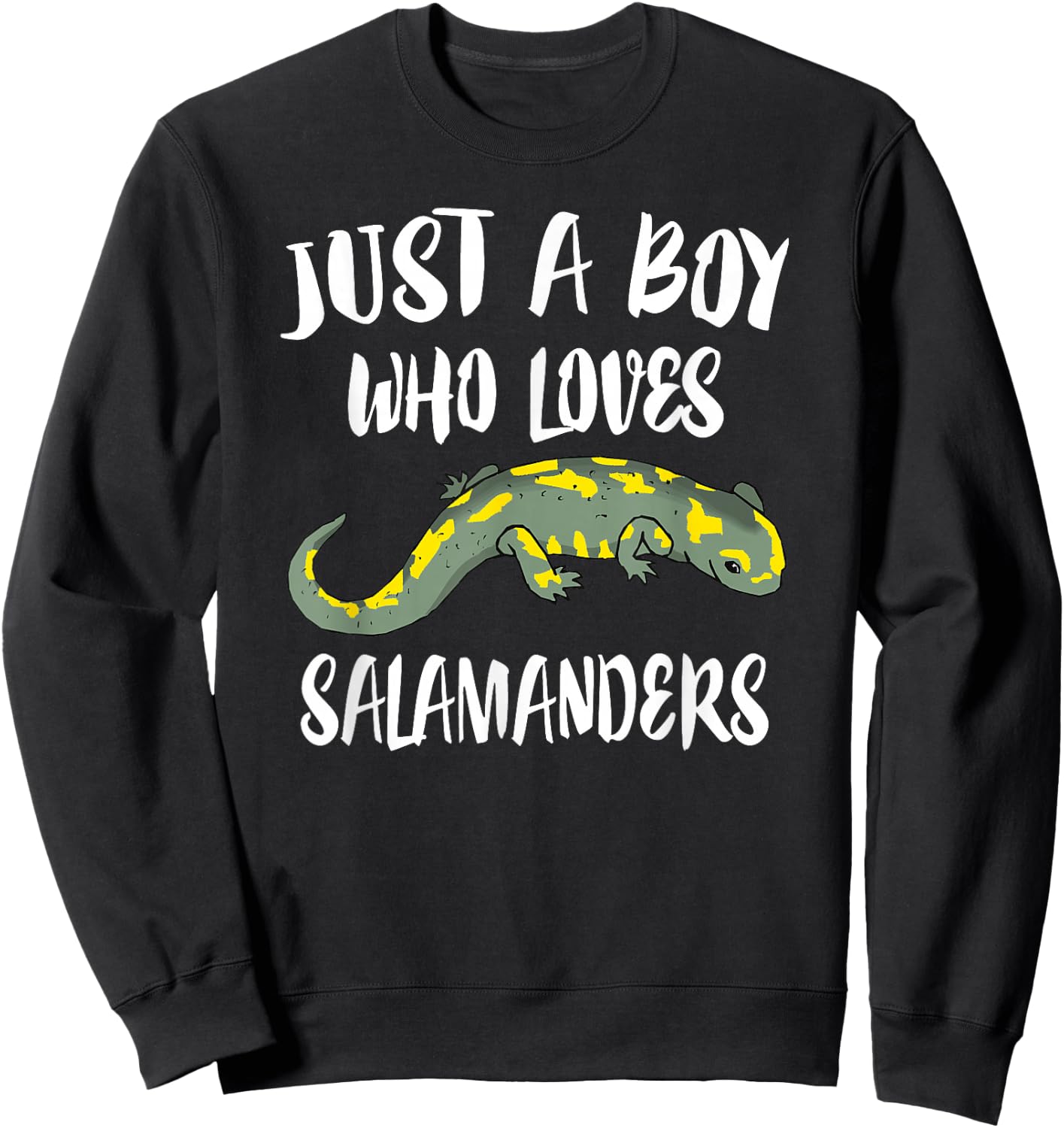 Just A Boy Who Loves Salamanders Lizard Gift Sweatshirt - Sweatshirt | Black
