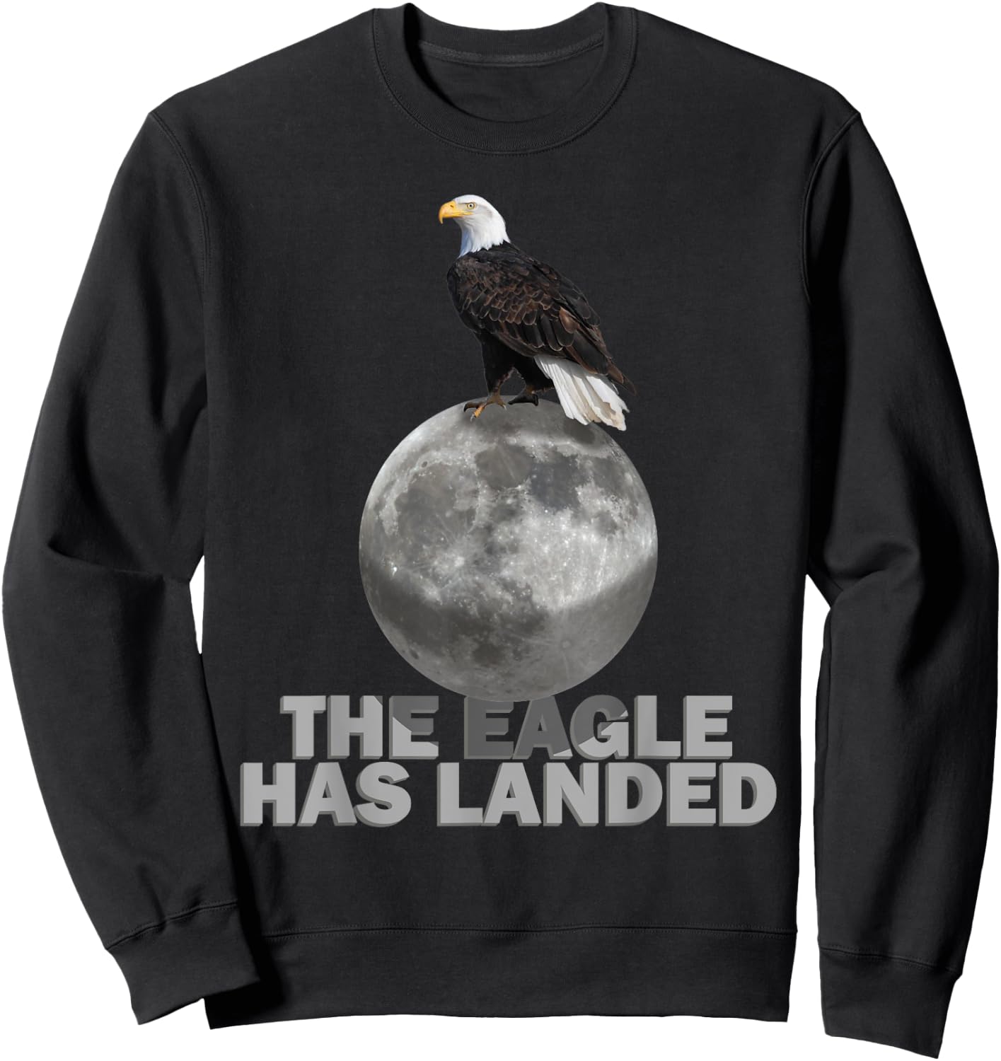 The Eagle Has Landed Gift Apollo 11 Moon Landing Souvenir Sweatshirt - Sweatshirt | Black