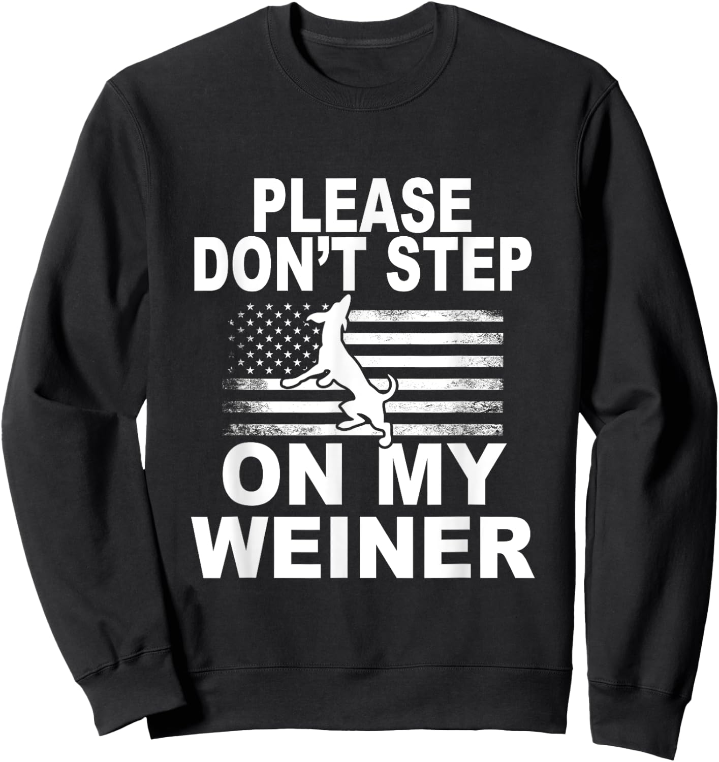 Please Don't Step On My Weiner Daschund Funny Dog T Shirt Sweatshirt - Sweatshirt | Black