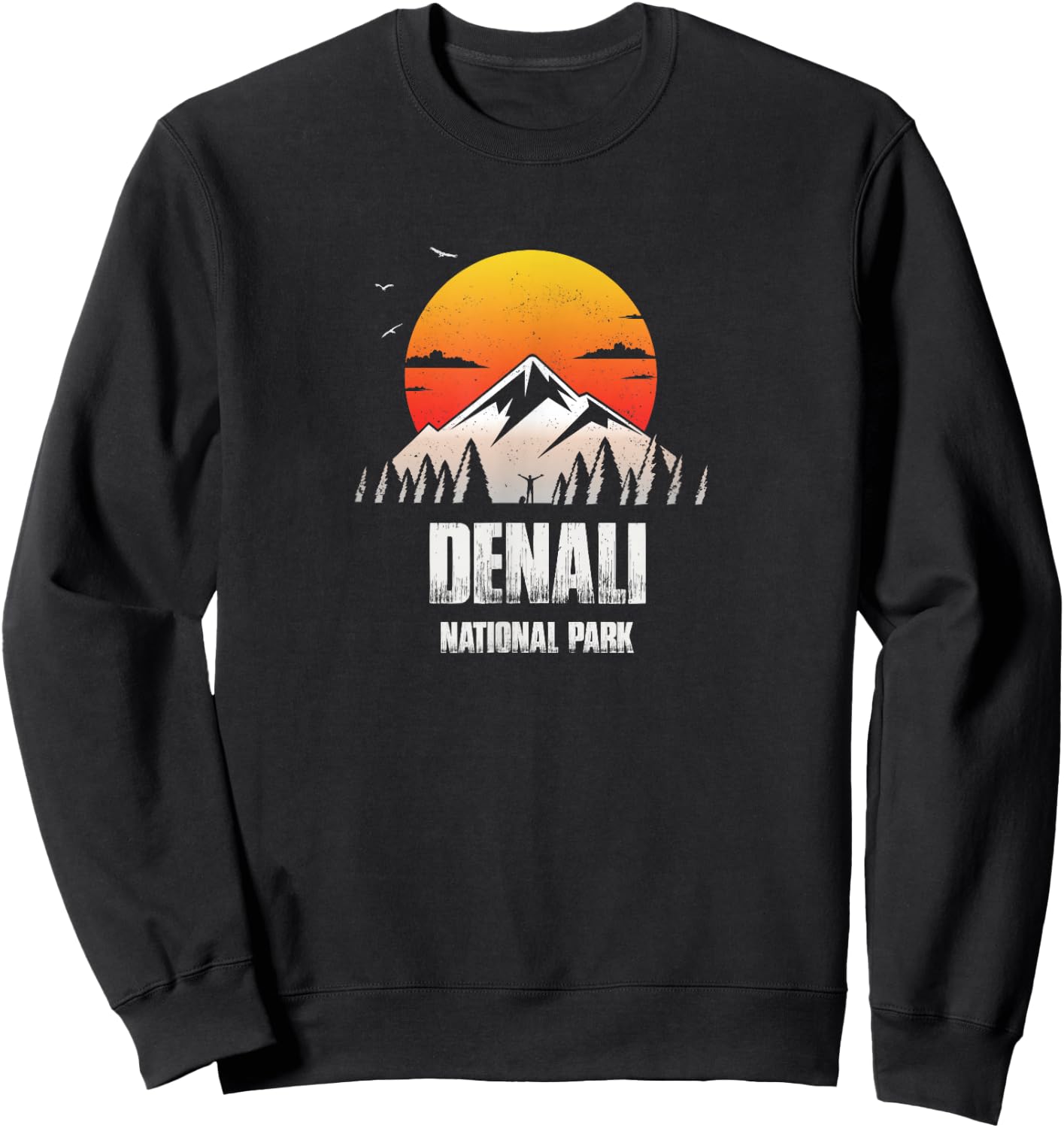 Denali Reminder - National Park Retro Souvenir Sweatshirt - Sweatshirt | Black