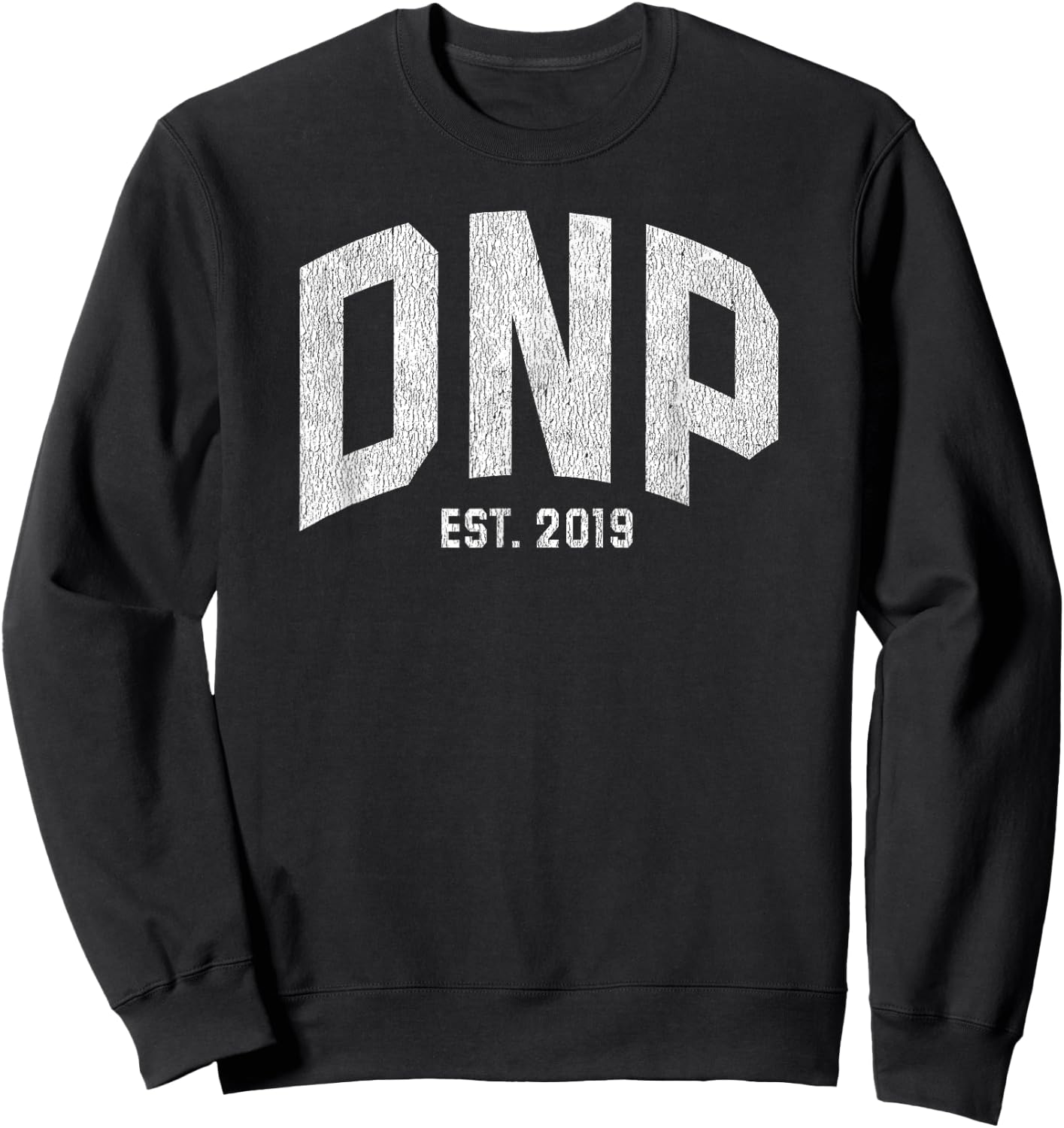 Doctor of Nursing Practice DNP Graduation Gift 2019 Sweatshirt - Sweatshirt | Black