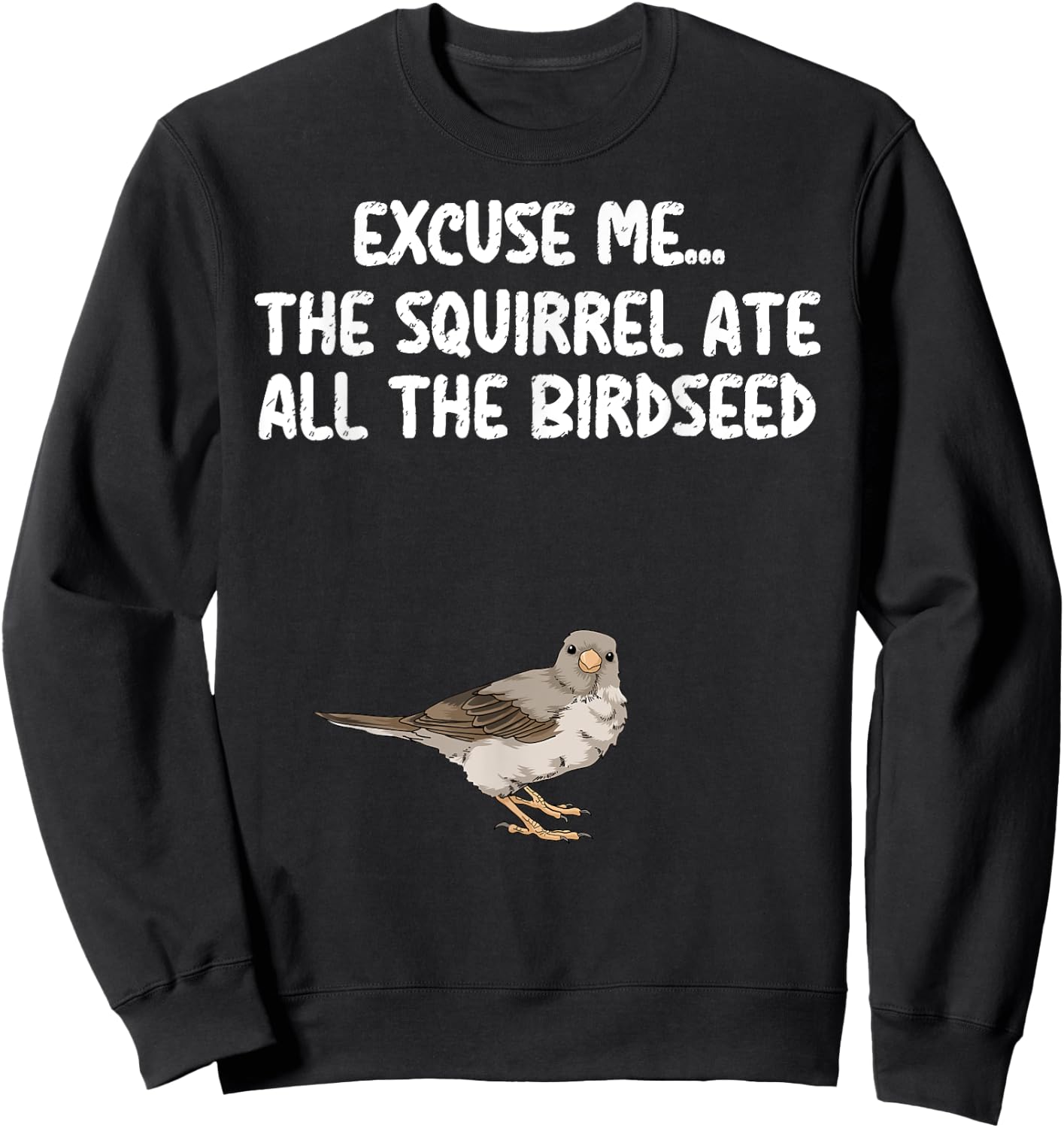 Excuse Me The Birdfeeder Is Empty Bird Watching Squirrel Sweatshirt - Sweatshirt | Black