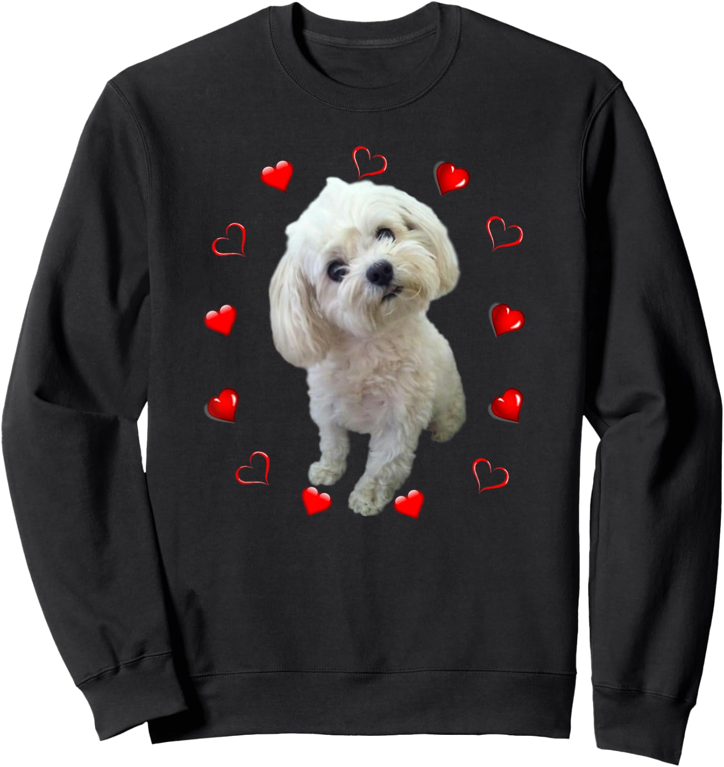 Maltese Dog Lover Puppy Owner Maltipoo Mix Fans Hearts Sweatshirt - Sweatshirt | Black