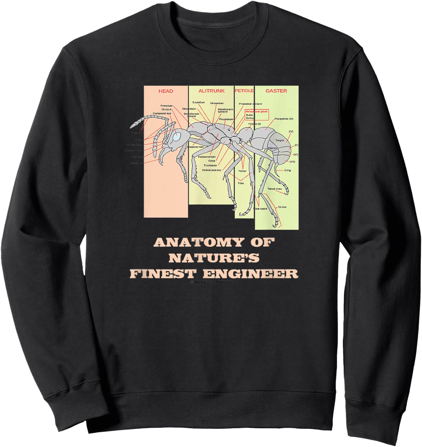 Anatomy Of Nature's Finest Engineer Worker Ant Anatomy Sweatshirt - Sweatshirt | Black