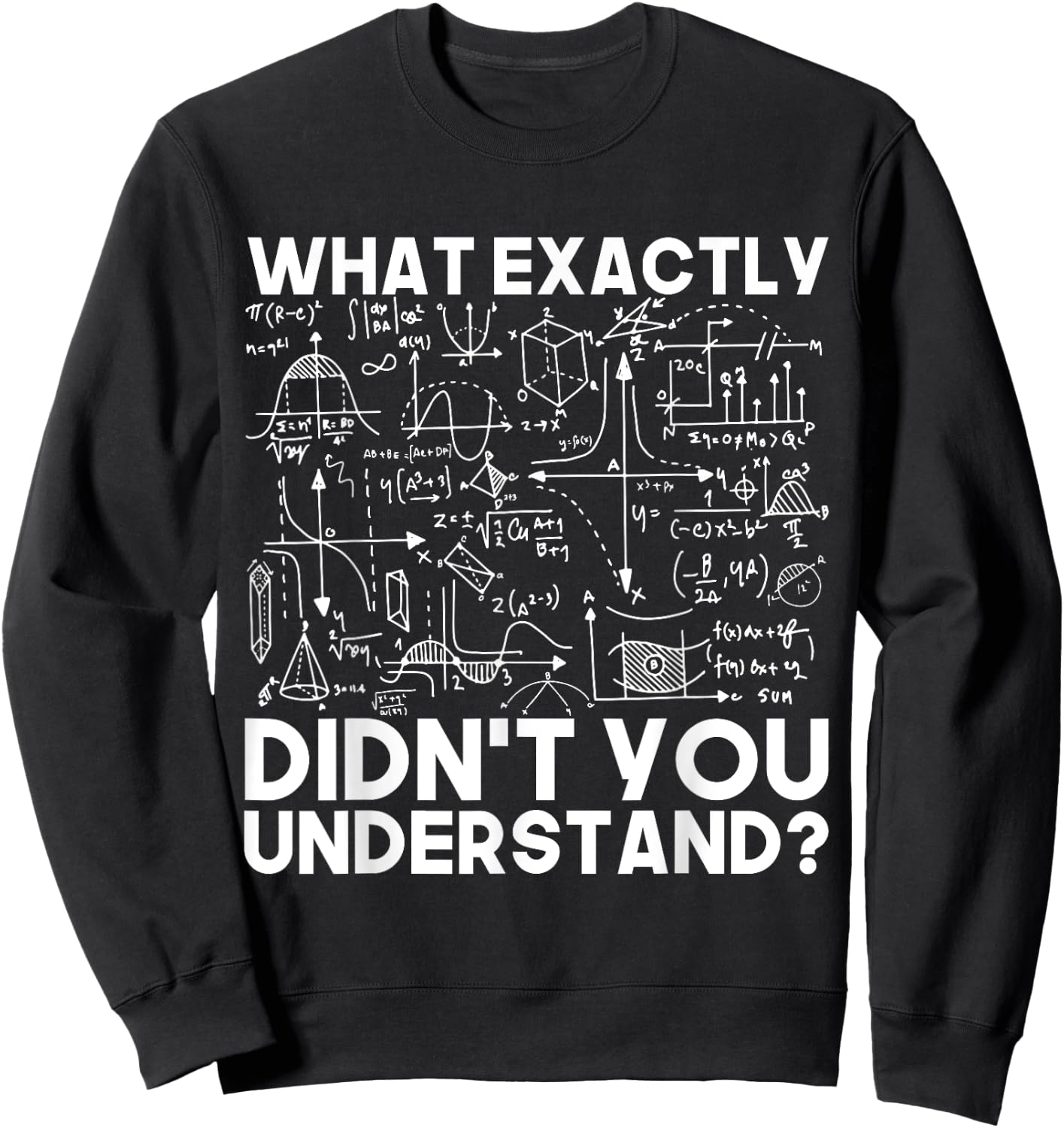 Funny Science Gift Physicist Math Physics Sweatshirt - Sweatshirt | Black