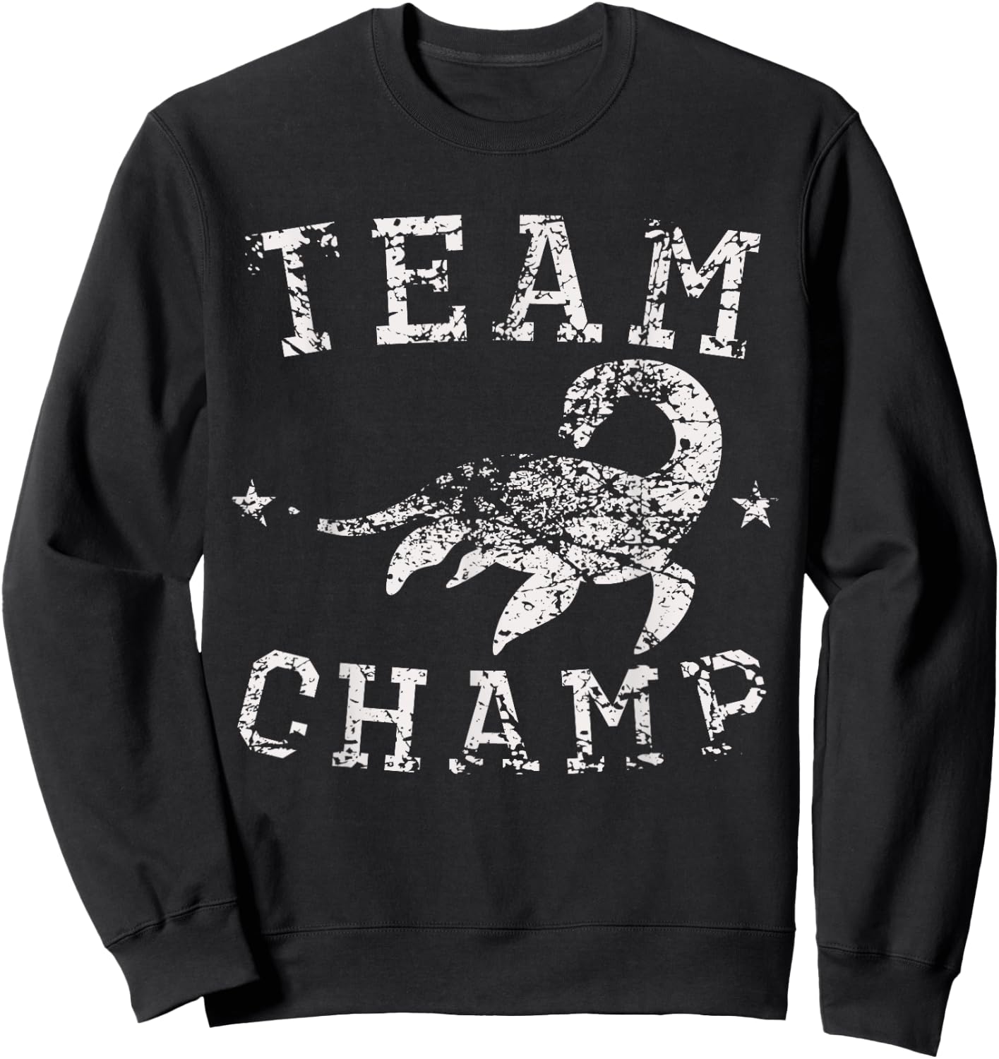 Vintage Team Champ Lake Champlain Monster Distressed Sweatshirt - Sweatshirt | Black