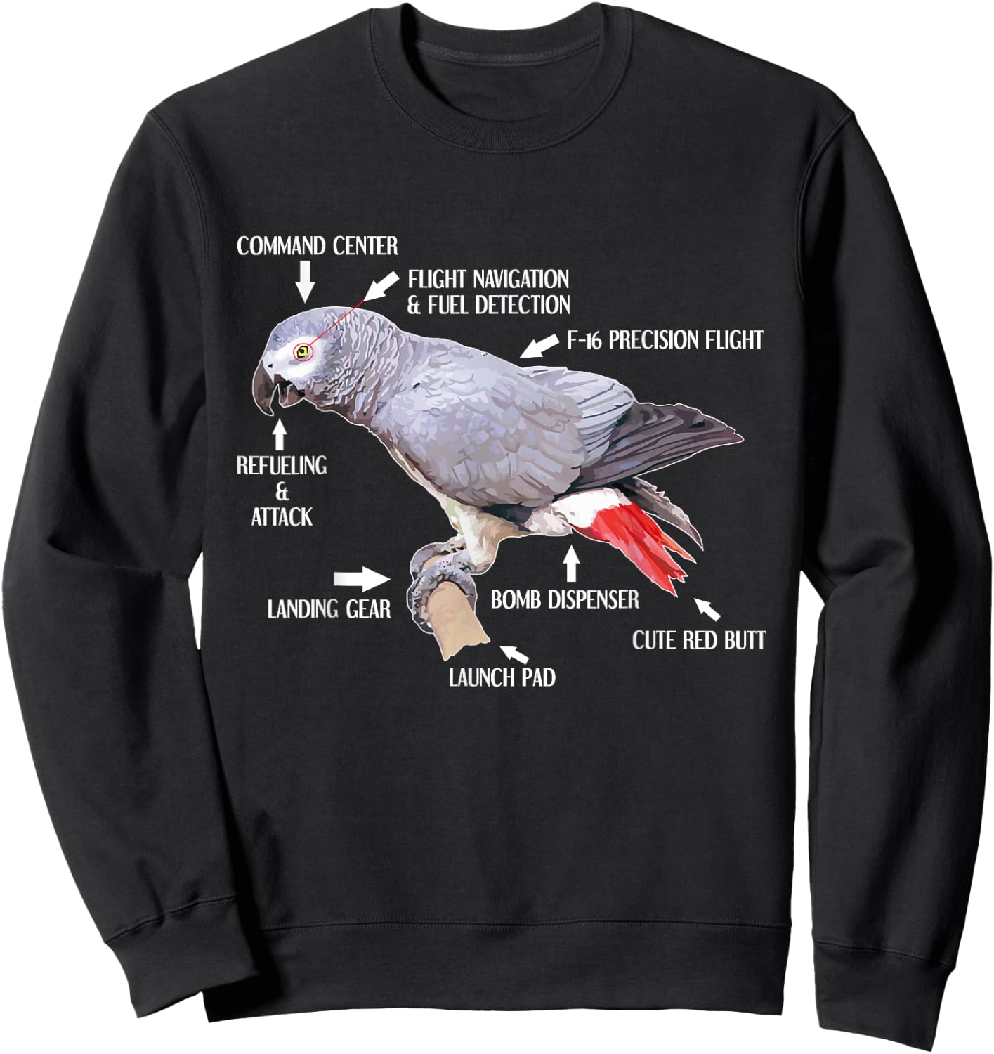 Anatomy Of An African Grey Parrot Funny Bird Gift Sweatshirt - Sweatshirt | Black