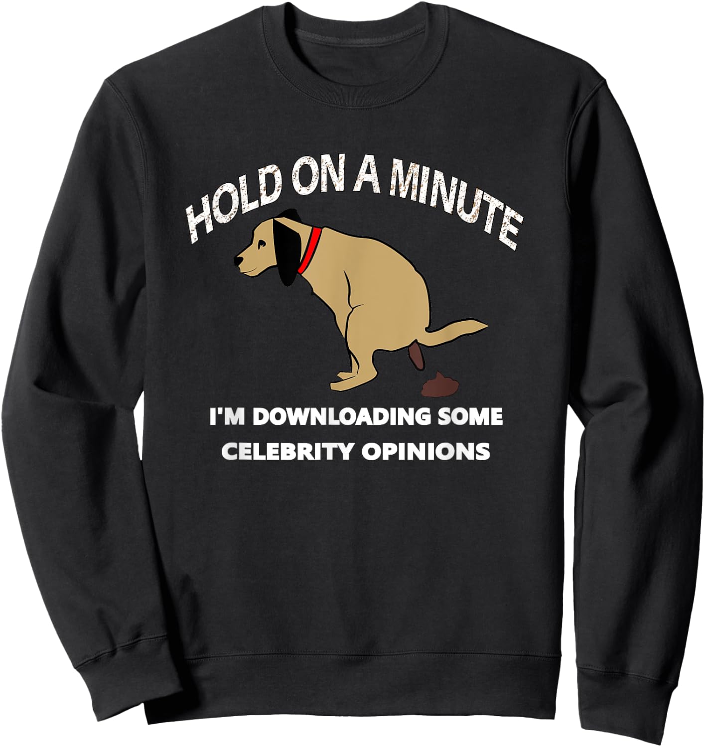 Funny Conservative Politics Celebrity Opinions Sweatshirt - Sweatshirt | Black