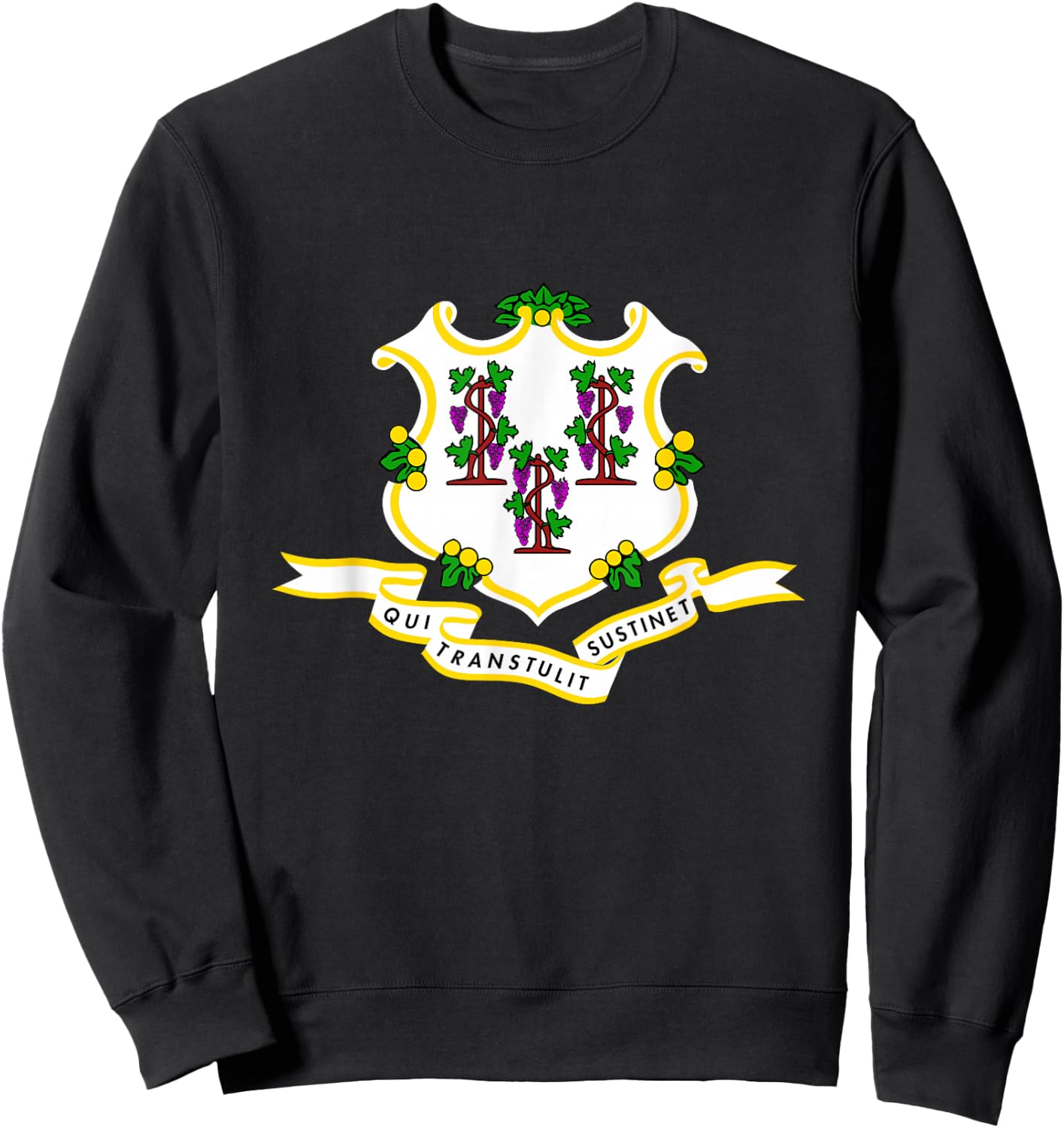 Connecticut State Flag Sweatshirt - Sweatshirt | Black