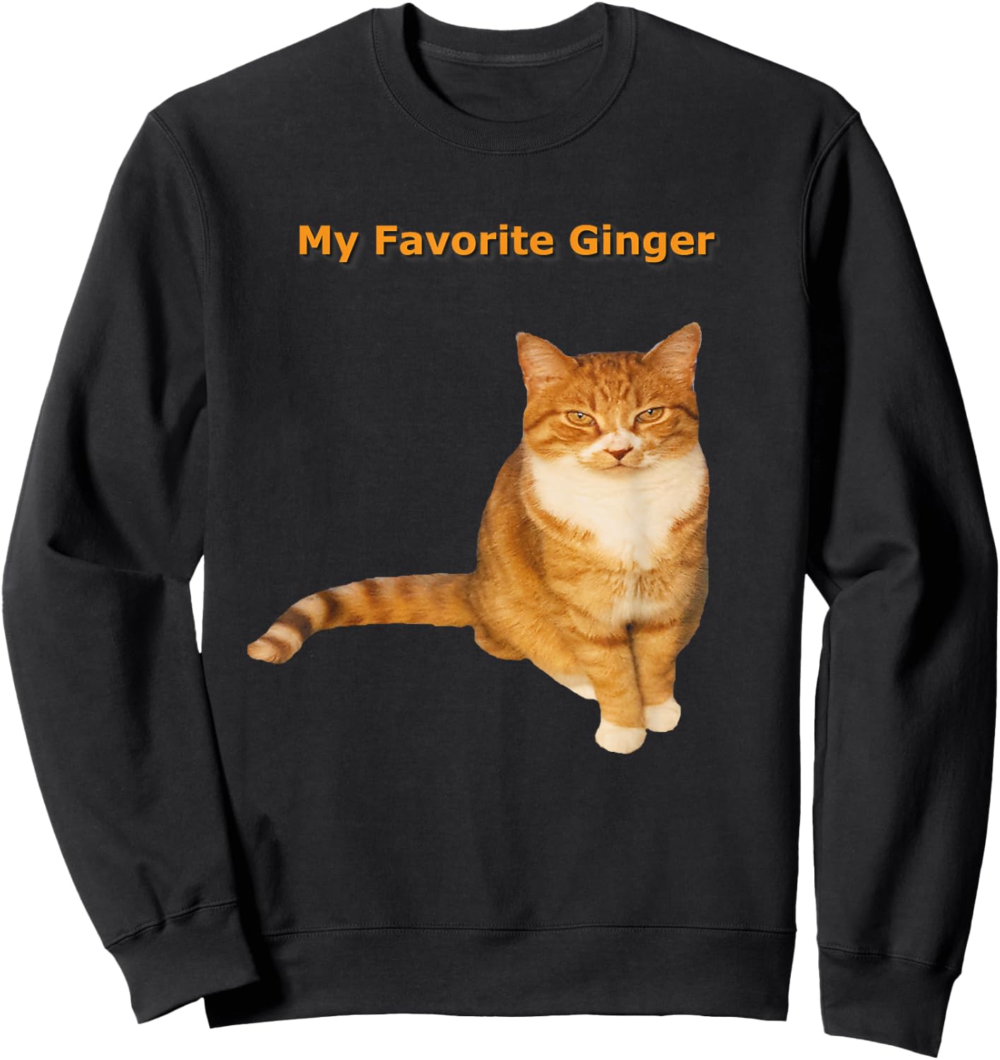 My Favorite Ginger Orange Tabby Kitty Cat Women Girls Kids Sweatshirt - Sweatshirt | Black