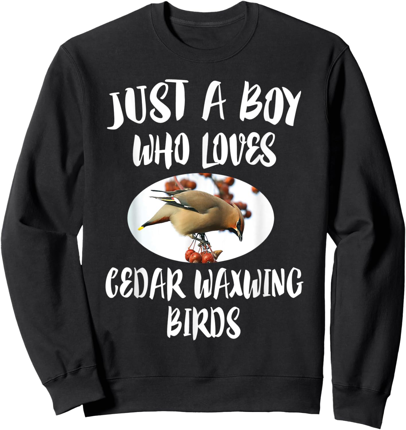 Just A Boy Who Loves Cedar Waxwing Birds Gift Sweatshirt - Sweatshirt | Black