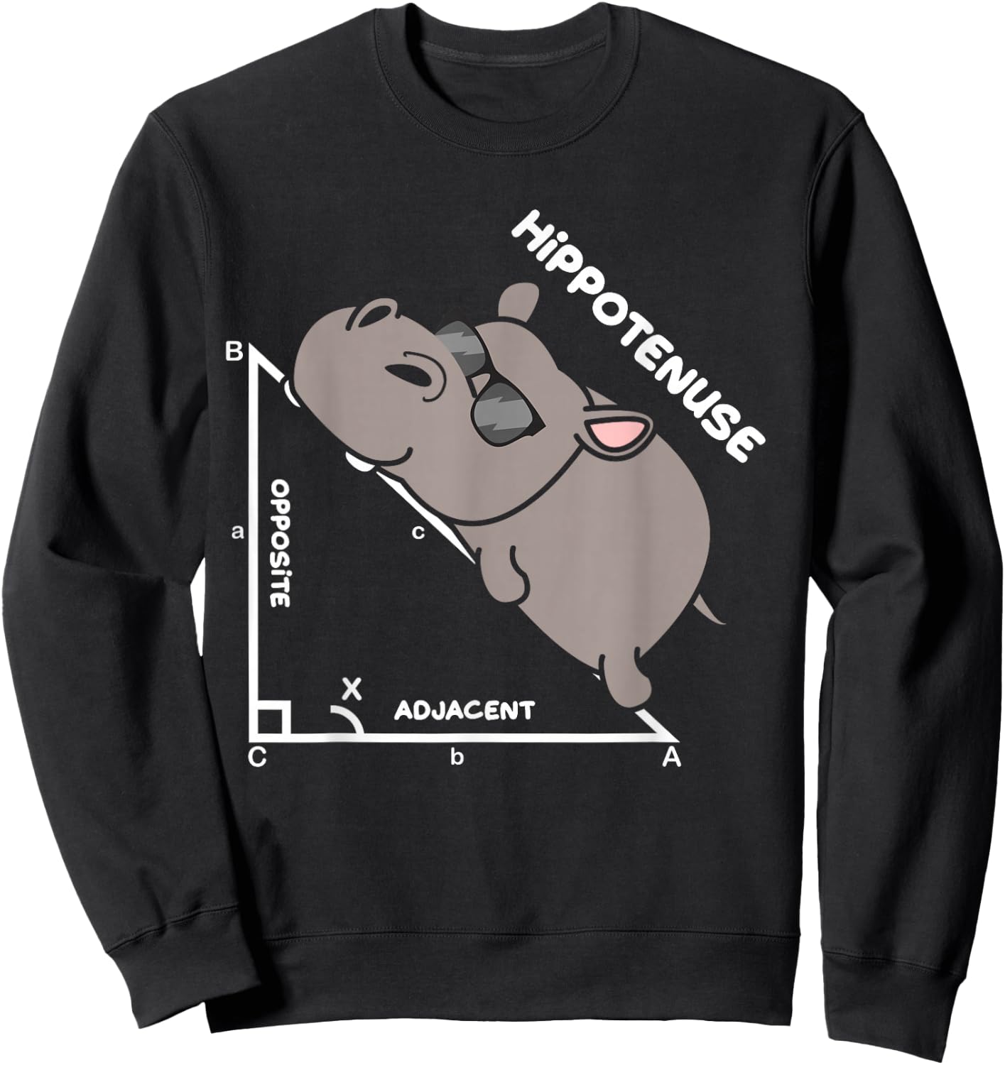 Funny Geometry Hypotenuse Math Mathematics Teacher Sweatshirt - Sweatshirt | Black