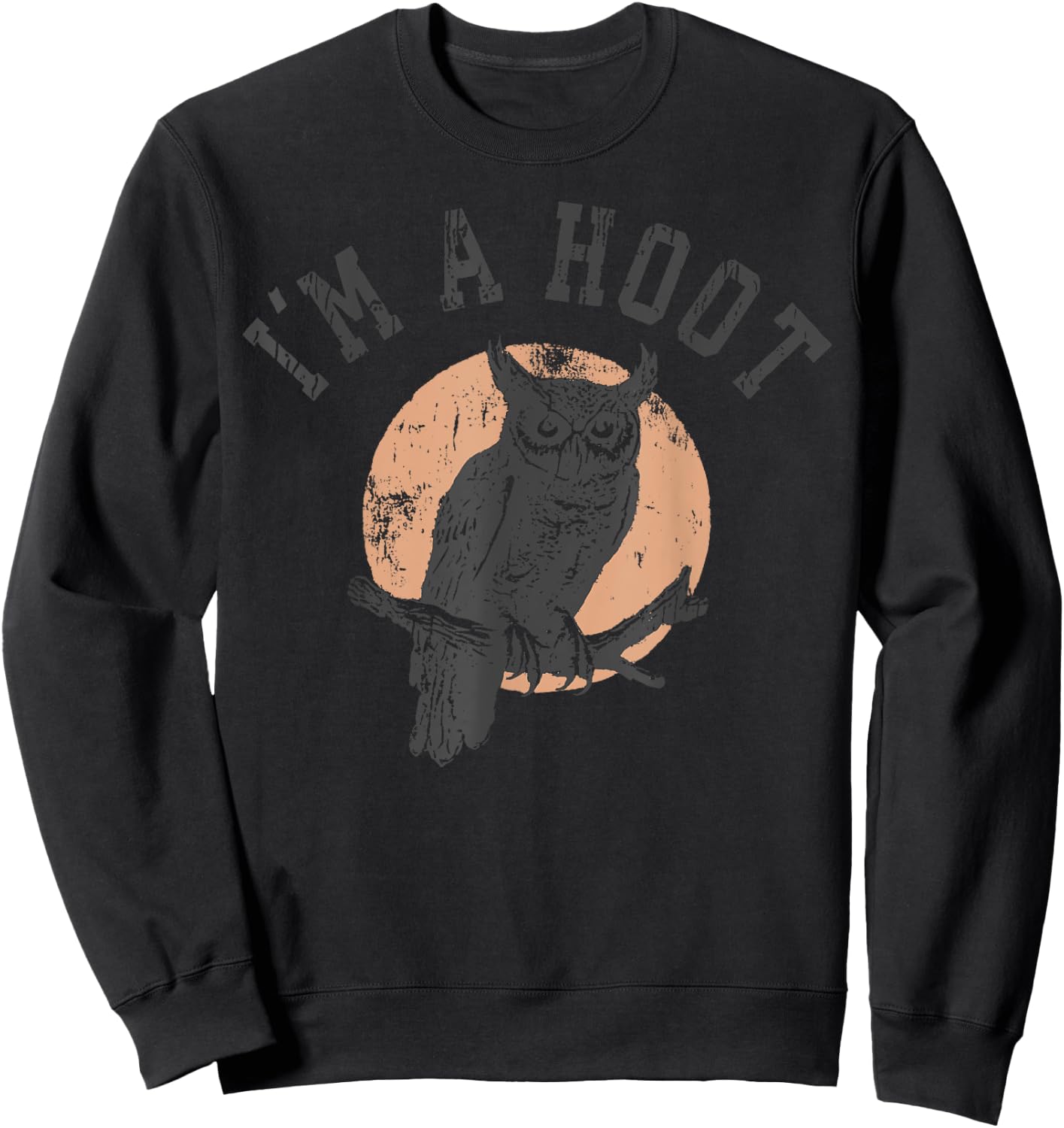 Retro I'm A Hoot Owl Bird Pun Sarcastic Jokes Women Men Sweatshirt - Sweatshirt | Black
