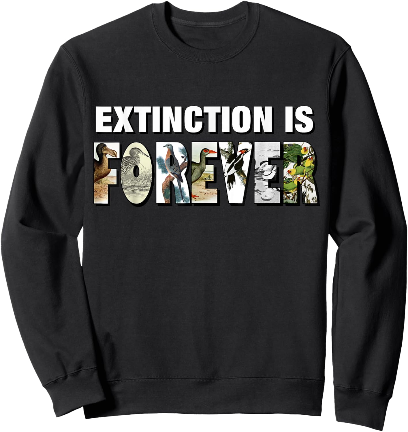 Extinction Is Forever Extinct Birds Sweatshirt - Sweatshirt | Black