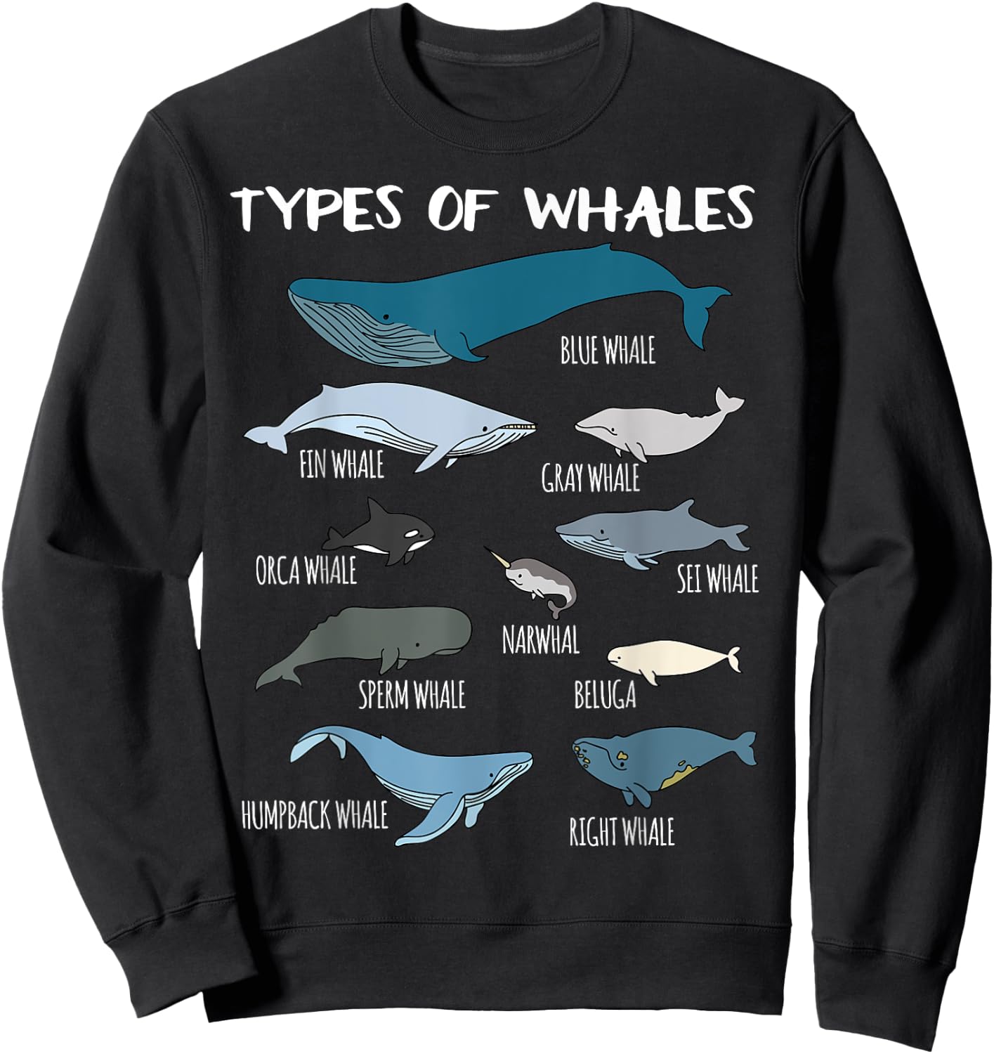 Types Of Whales Cute Ocean Mammals Guide T Shirt Sweatshirt - Sweatshirt | Black